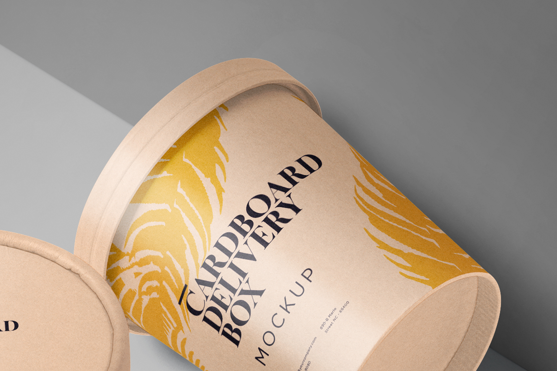 biodegradable food box
