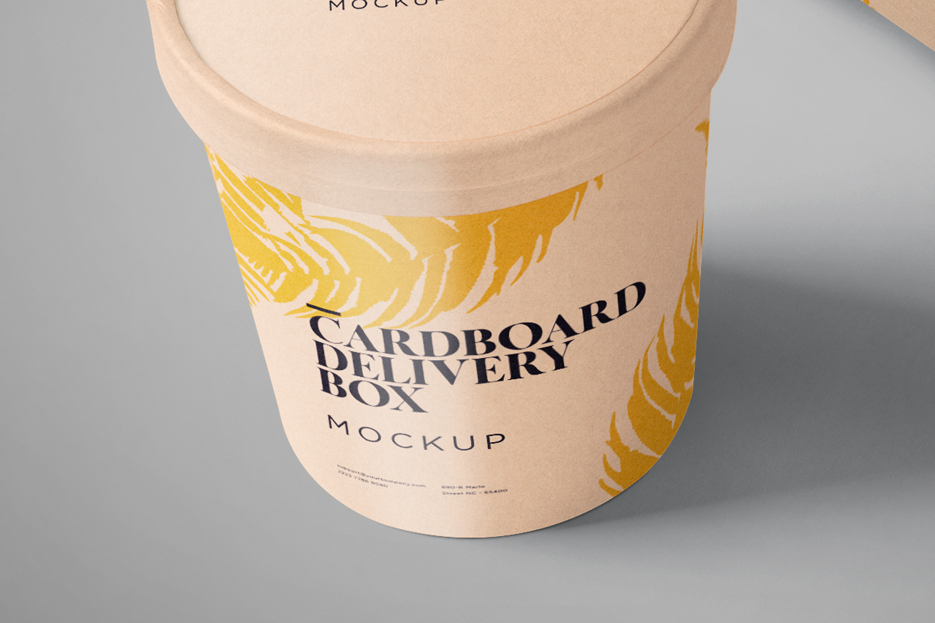 biodegradable food box