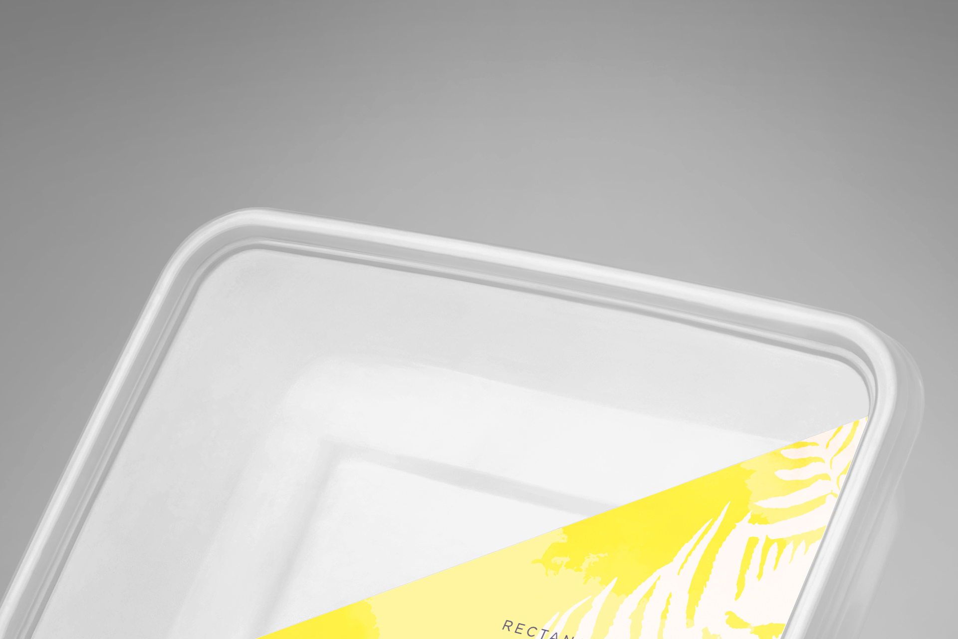 airtight food tub psd