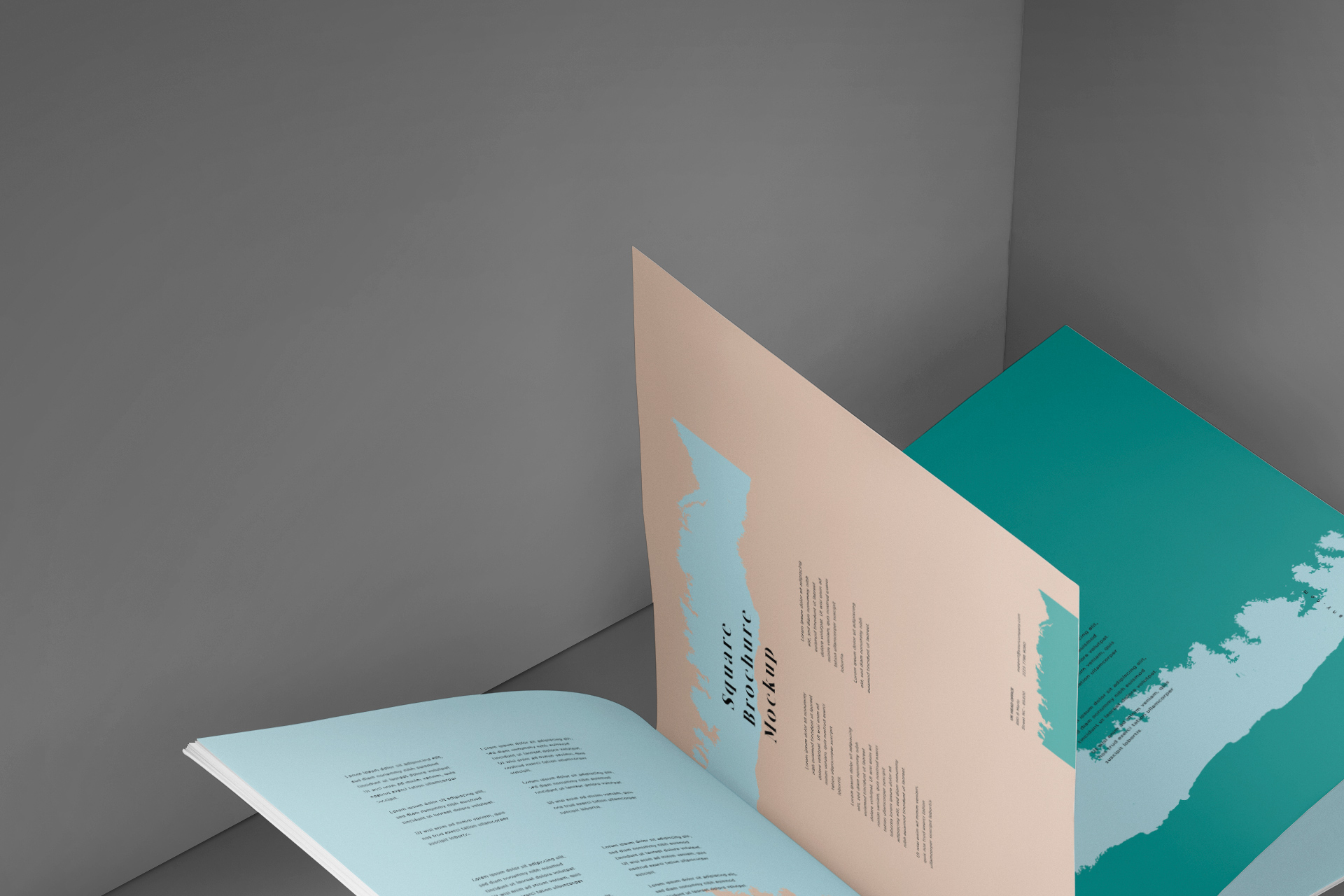 premium marketing layout