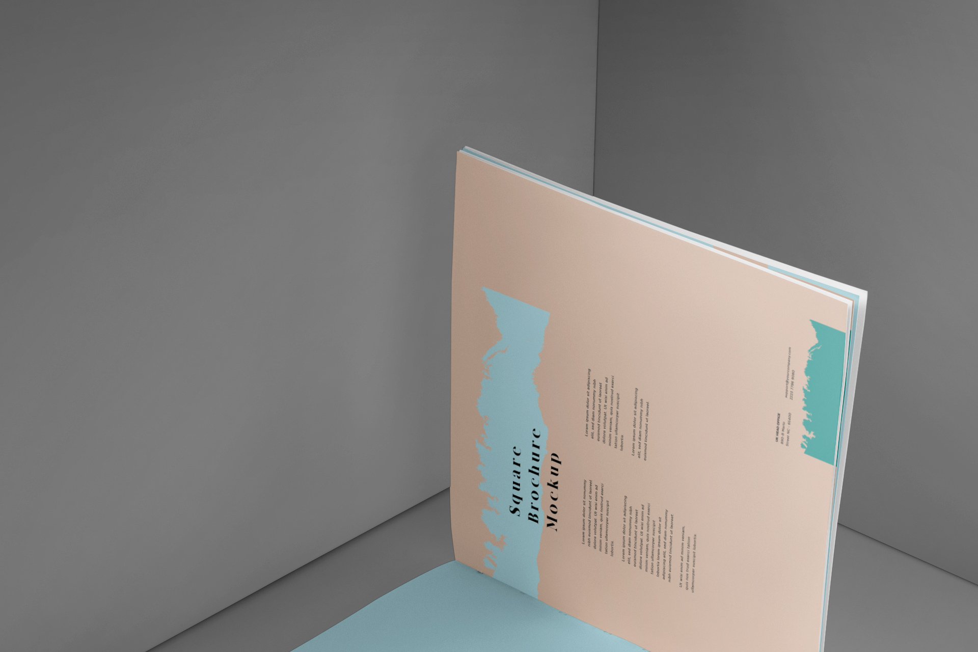 business branding PSD
