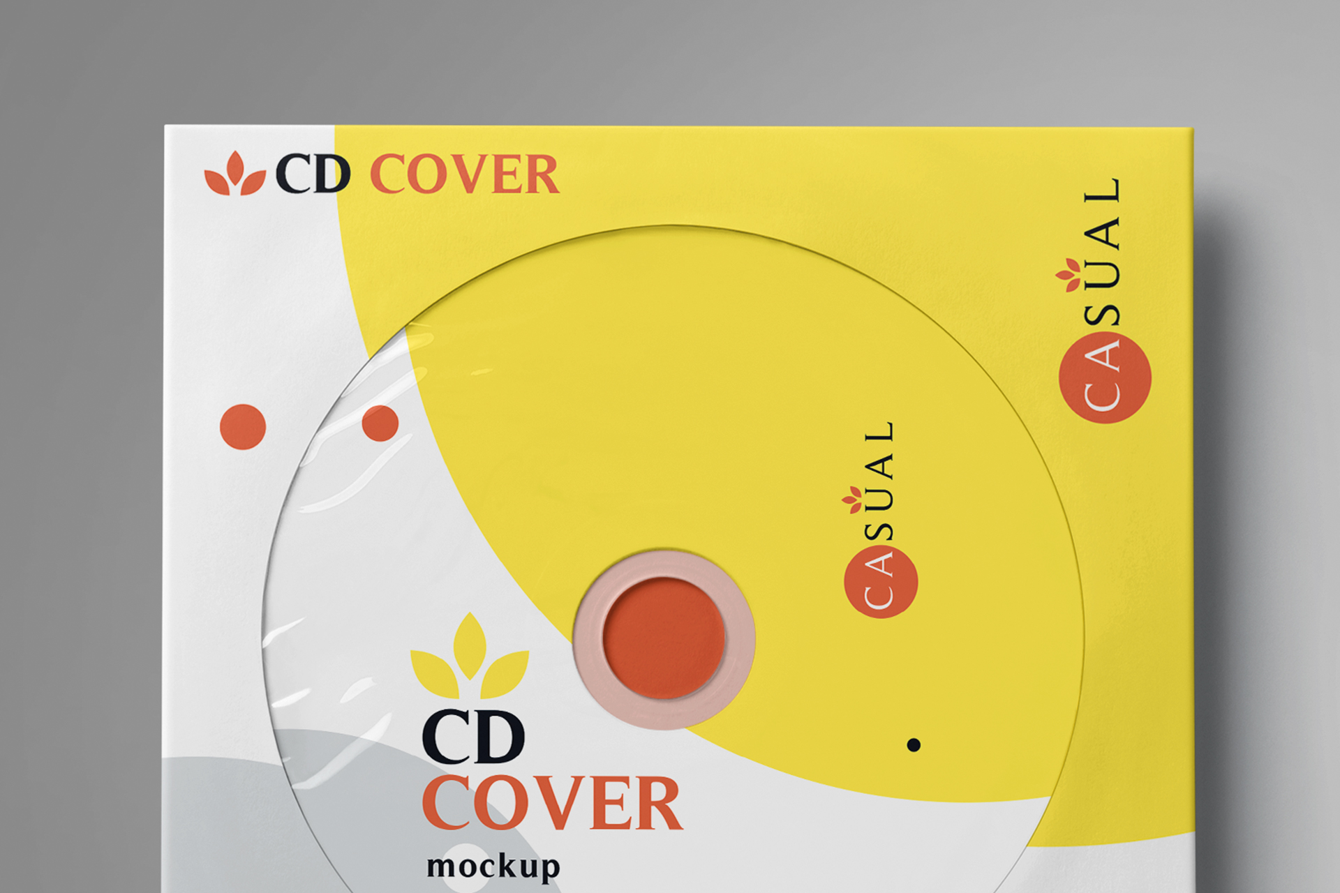 branding CD mockup