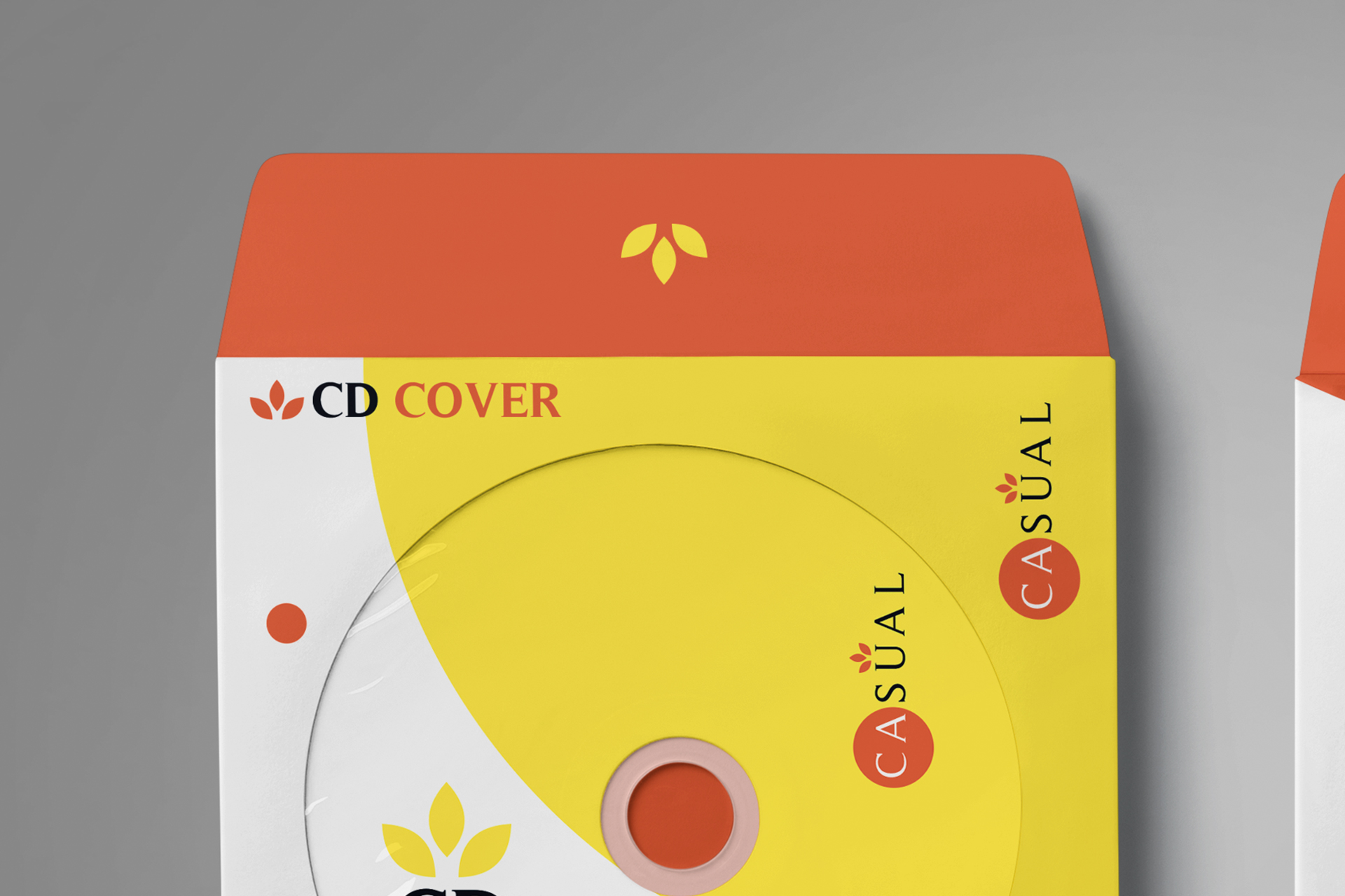 artistic CD cover