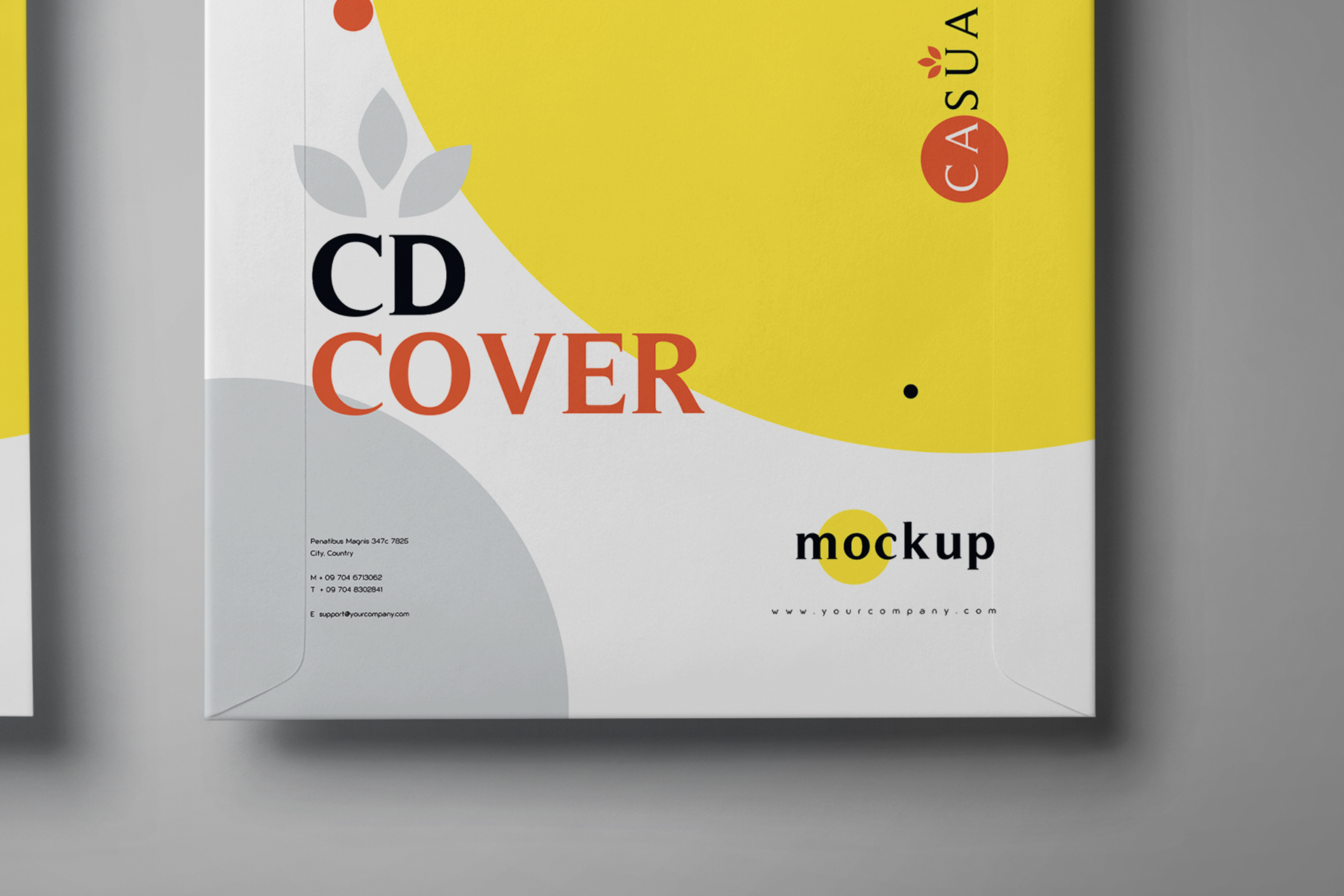 artistic CD cover