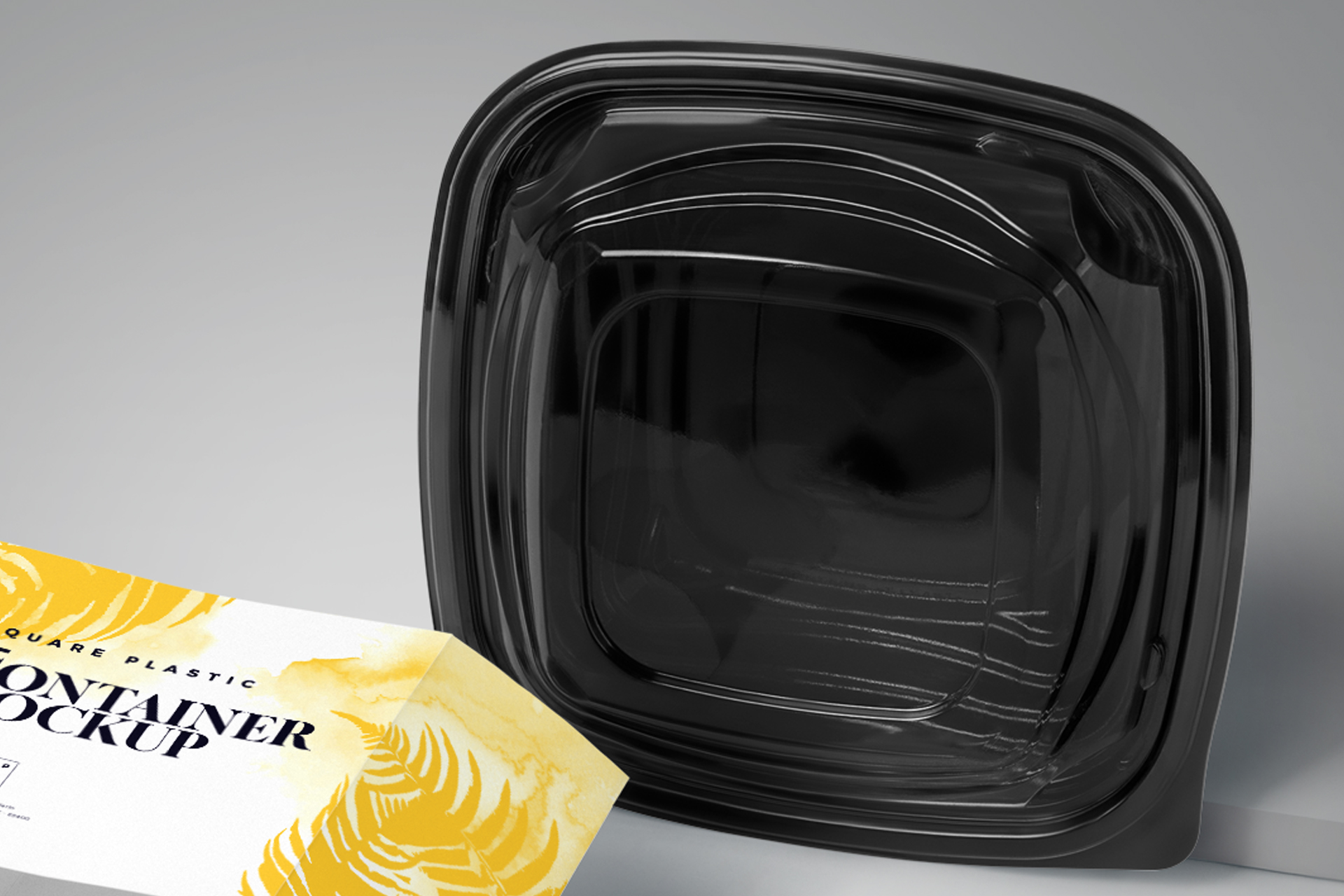 airtight disposable plastic food box