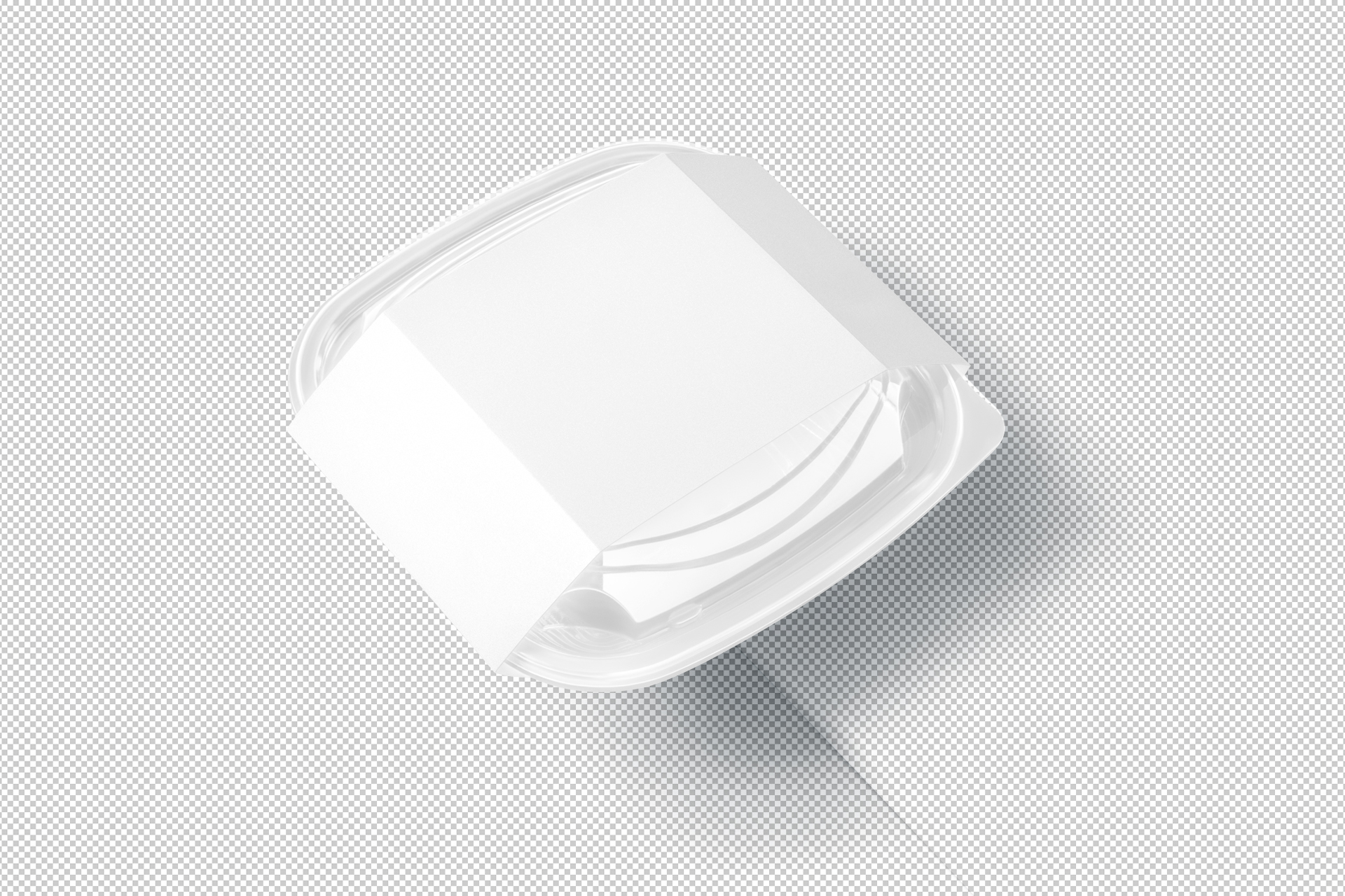 airtight disposable food storage box
