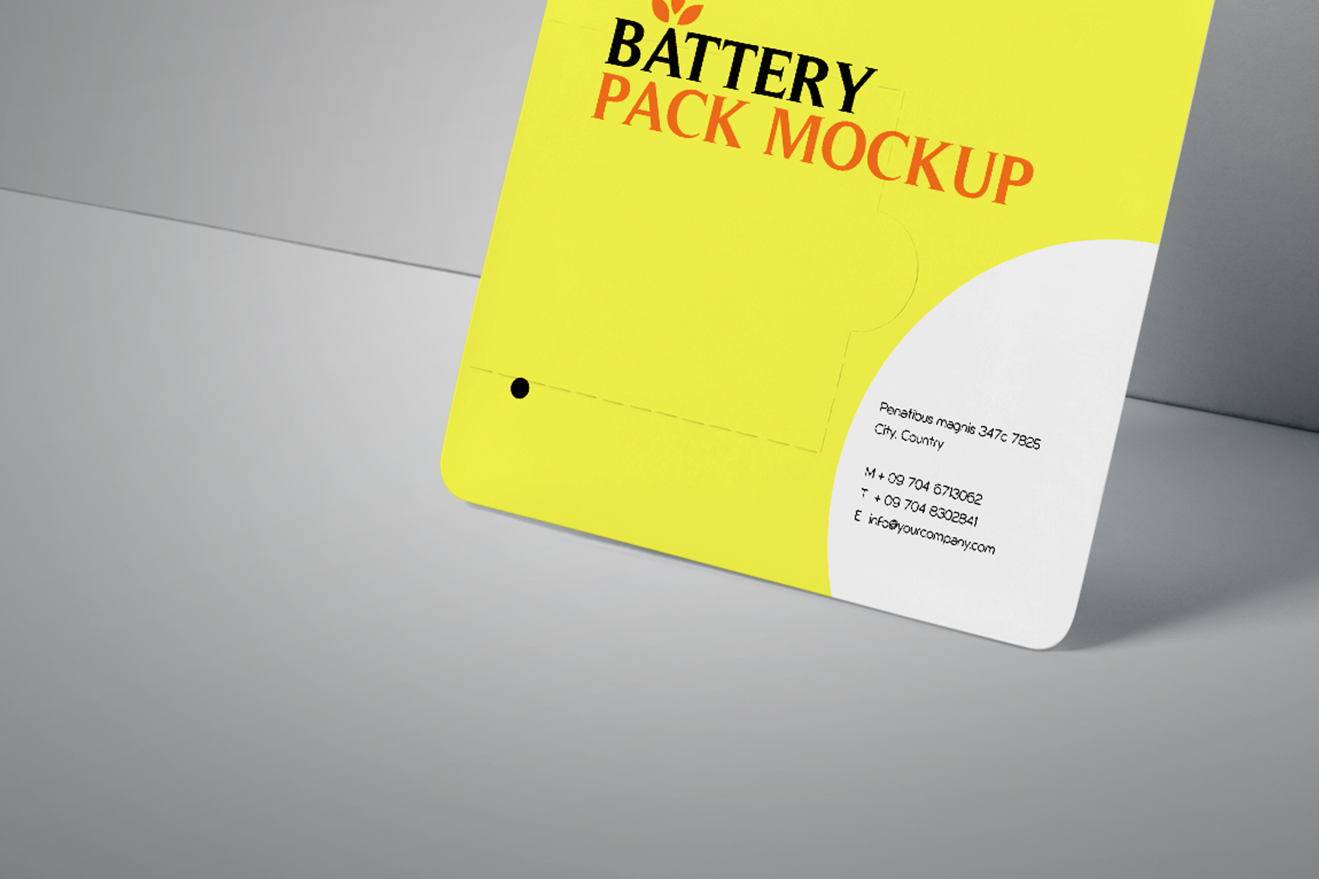 battery pack mock-up