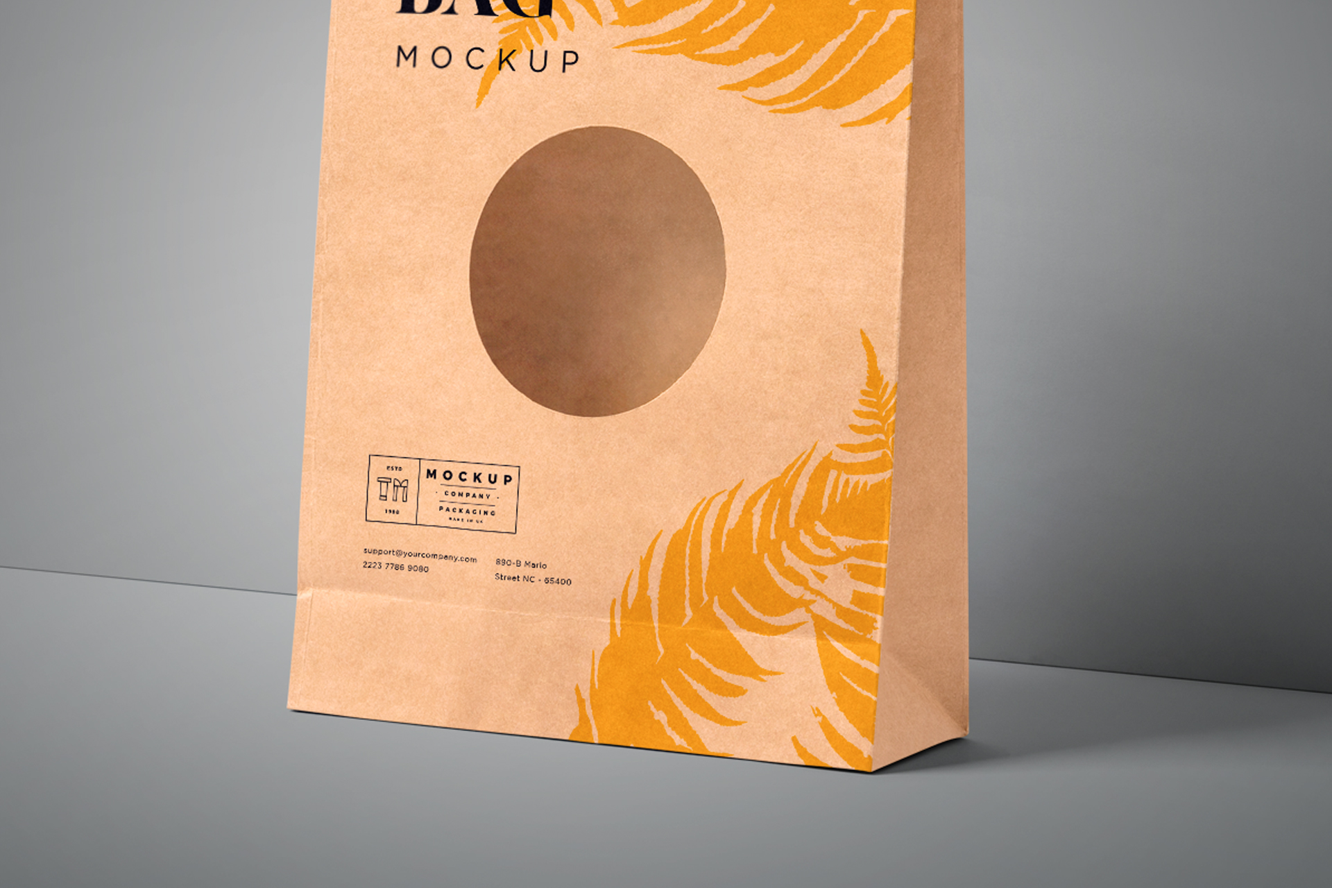 bag with window mock-up