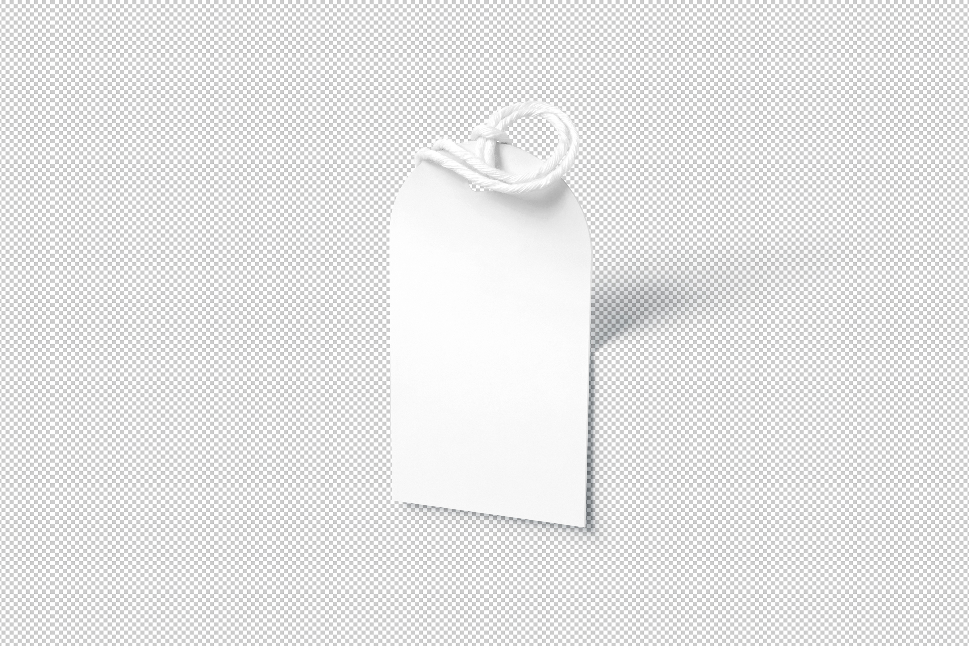 apparel branding template