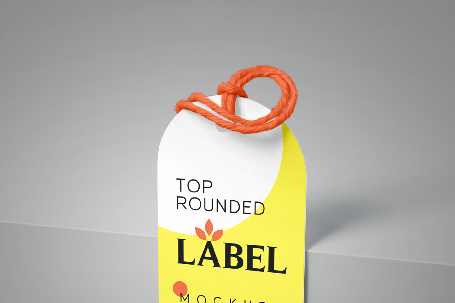 apparel branding template