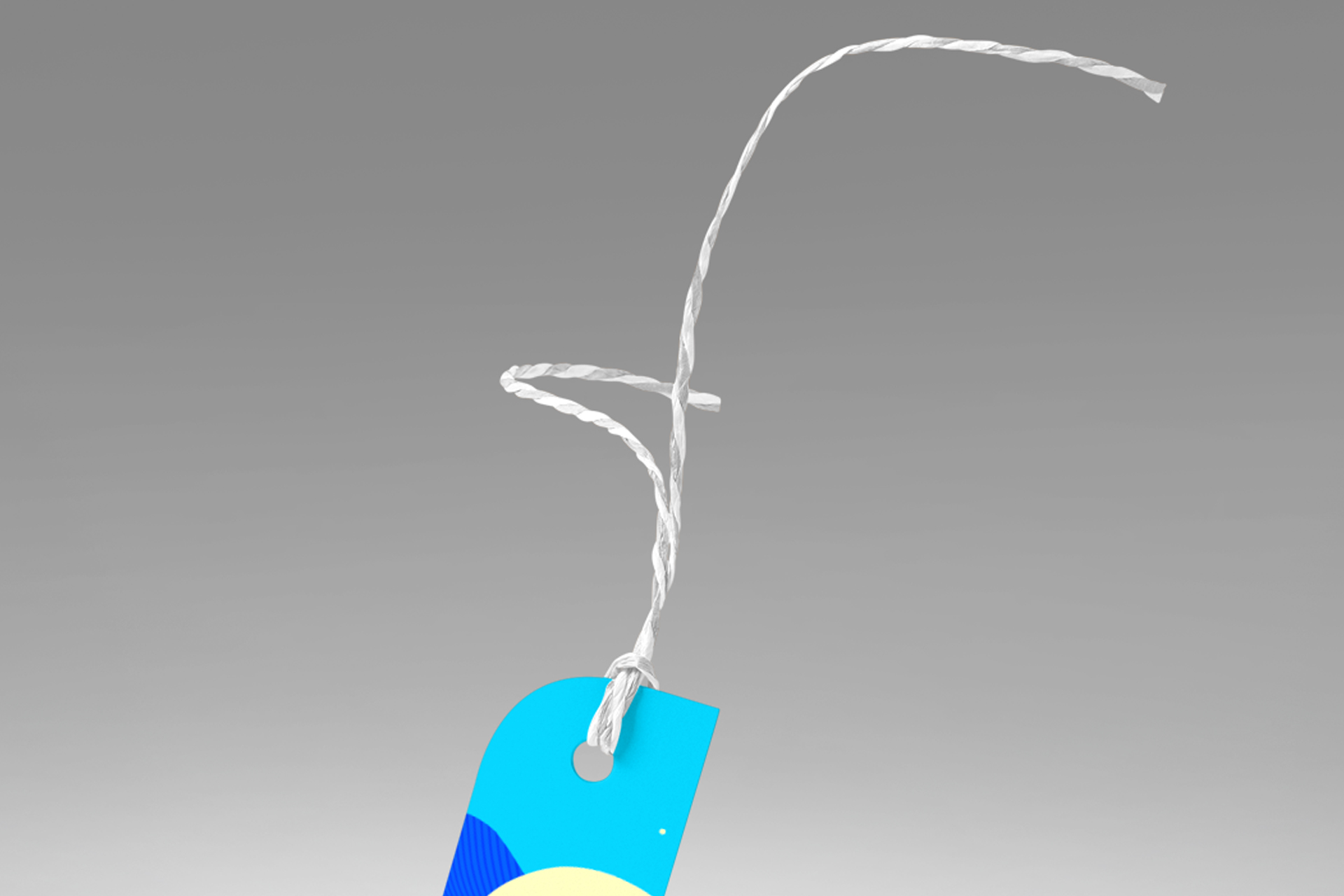 apparel hang tag mock-up