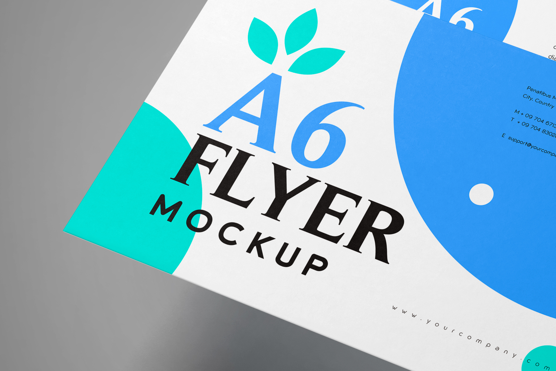 a6 leaflet mockup