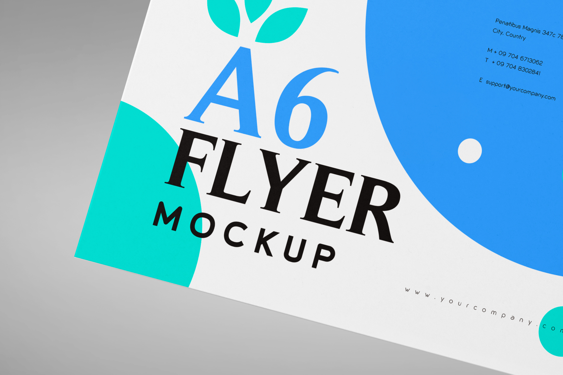 a6 flyer front and back