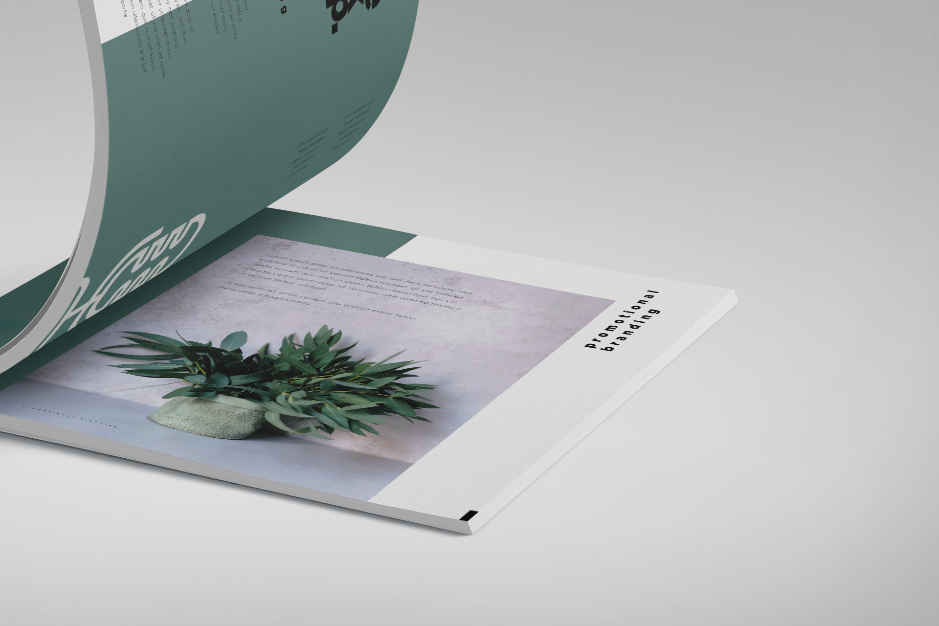 design portfolio