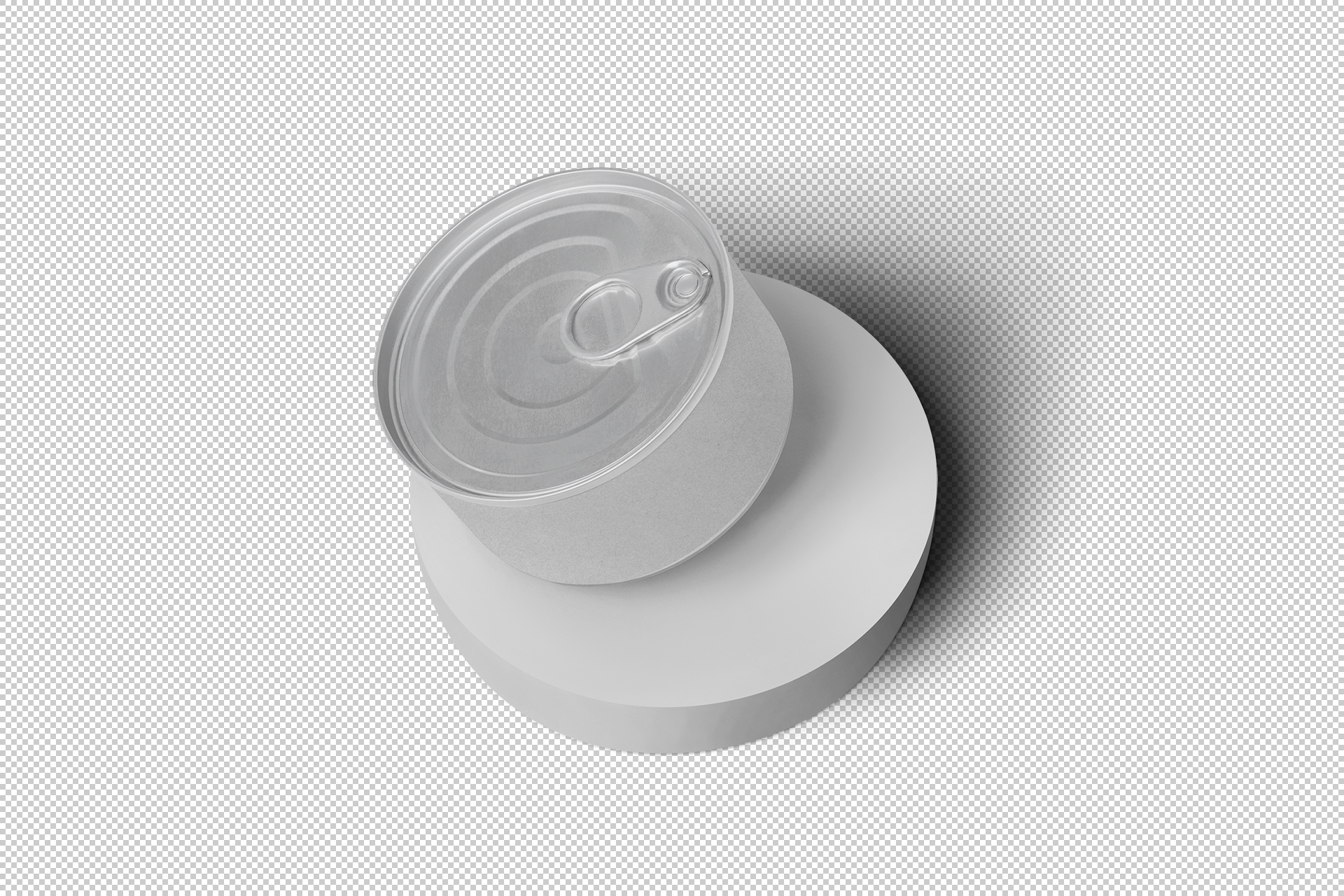 branding showcase