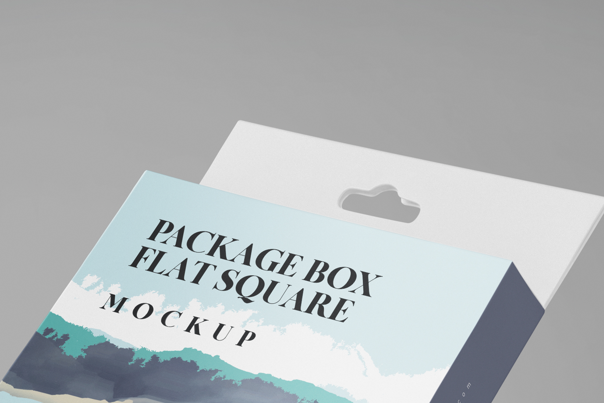 3D product box