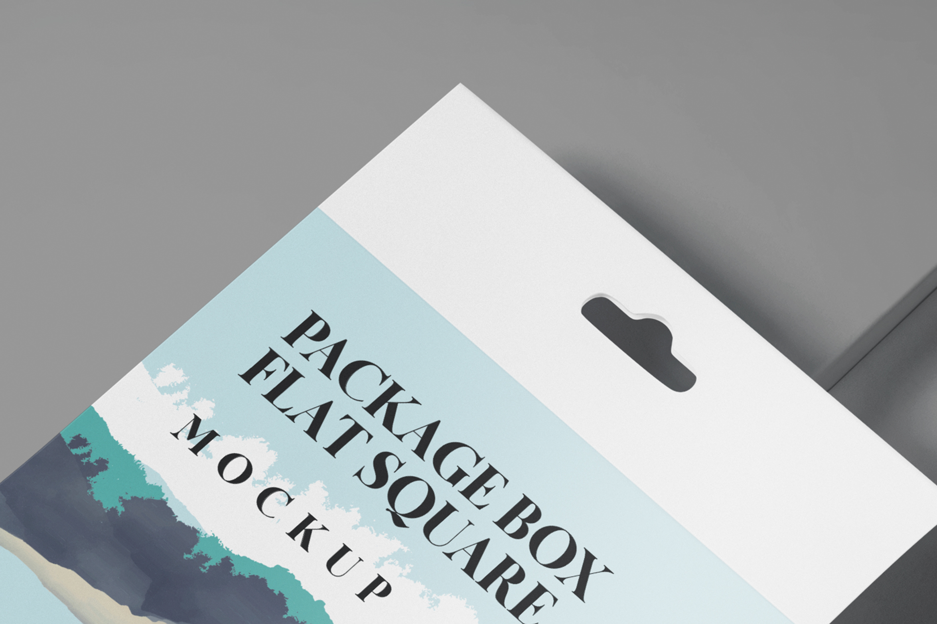 box mock up