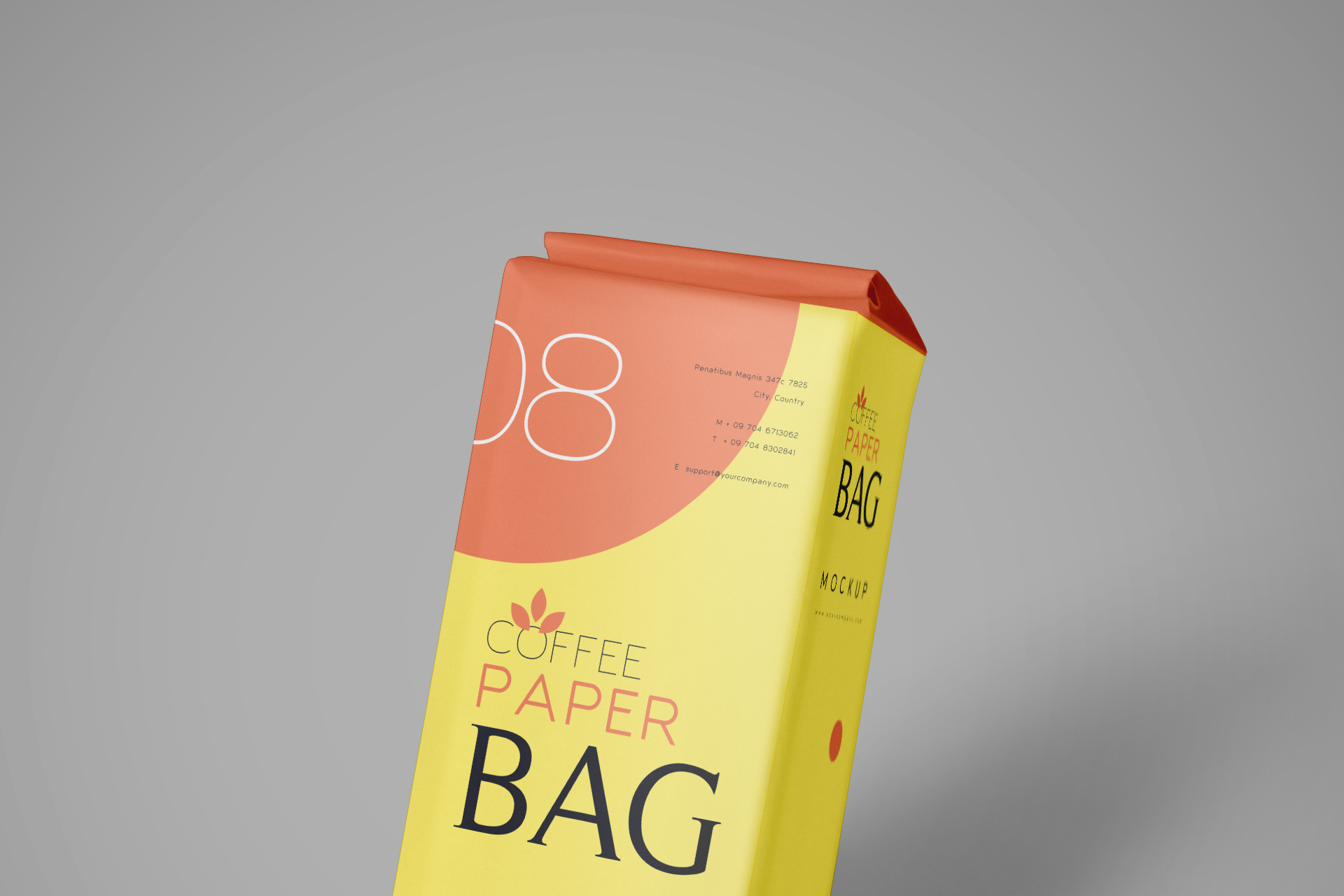 branding presentation PSD