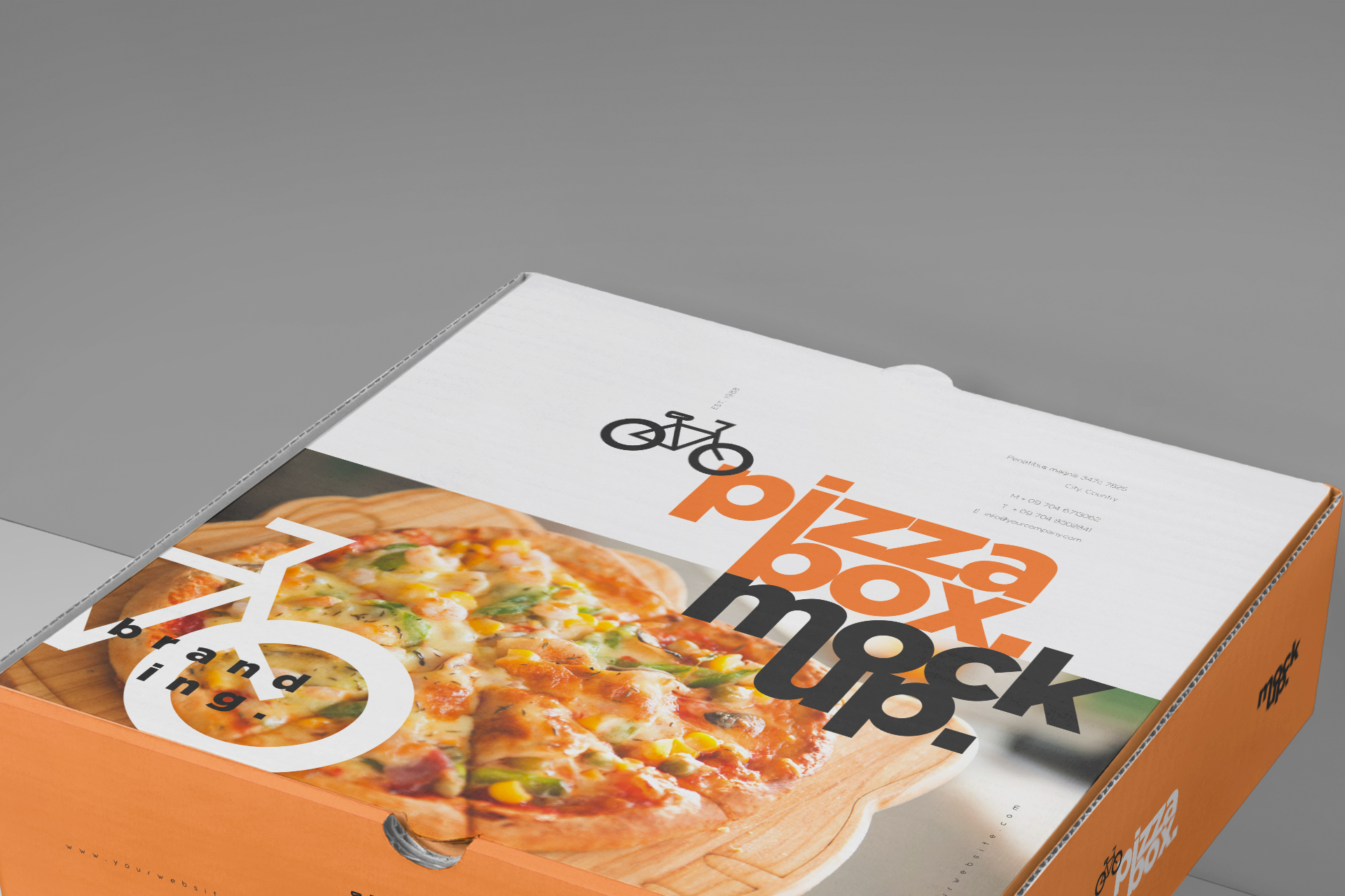 cardboard pizza box