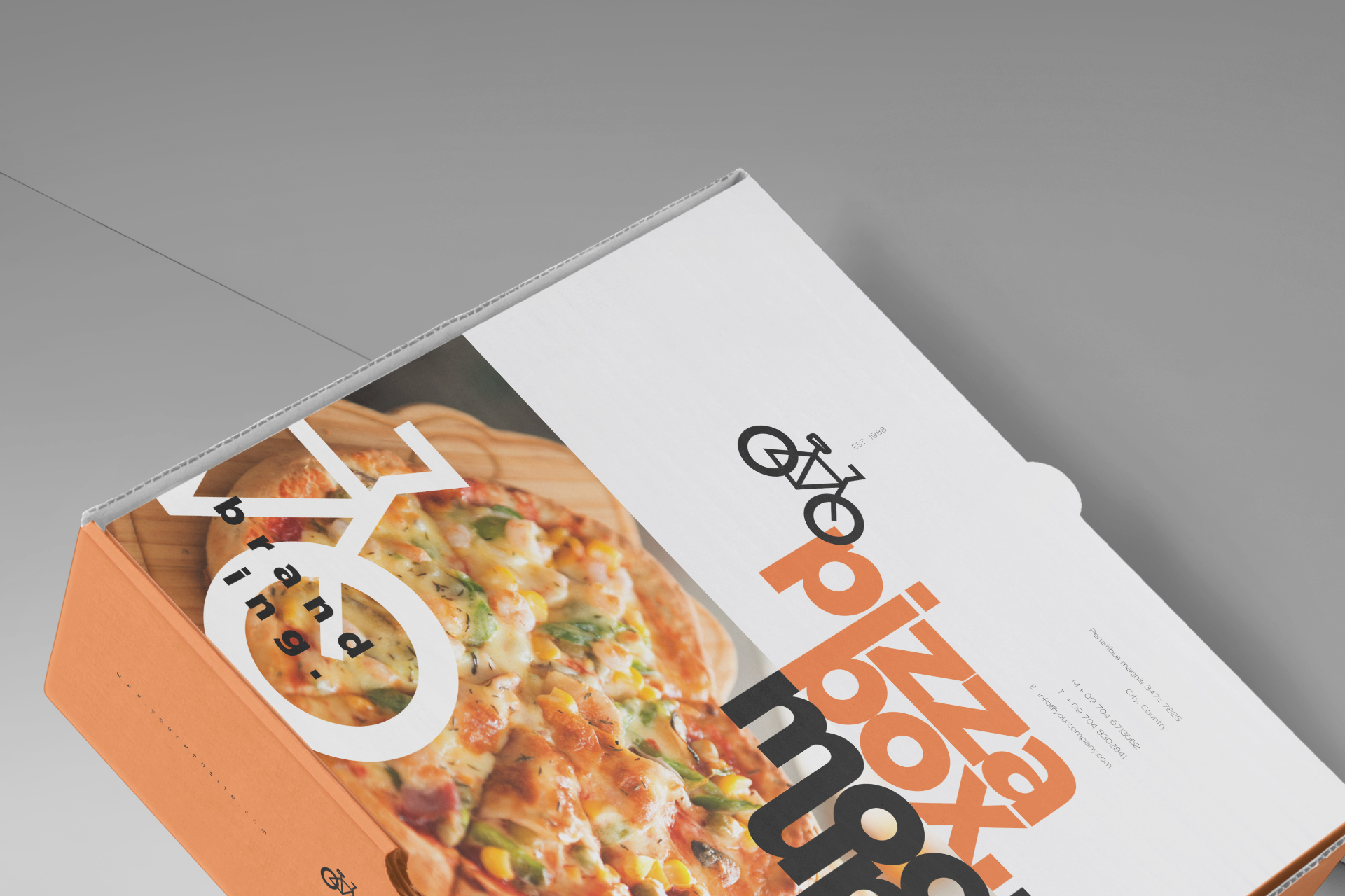 cardboard pizza packaging
