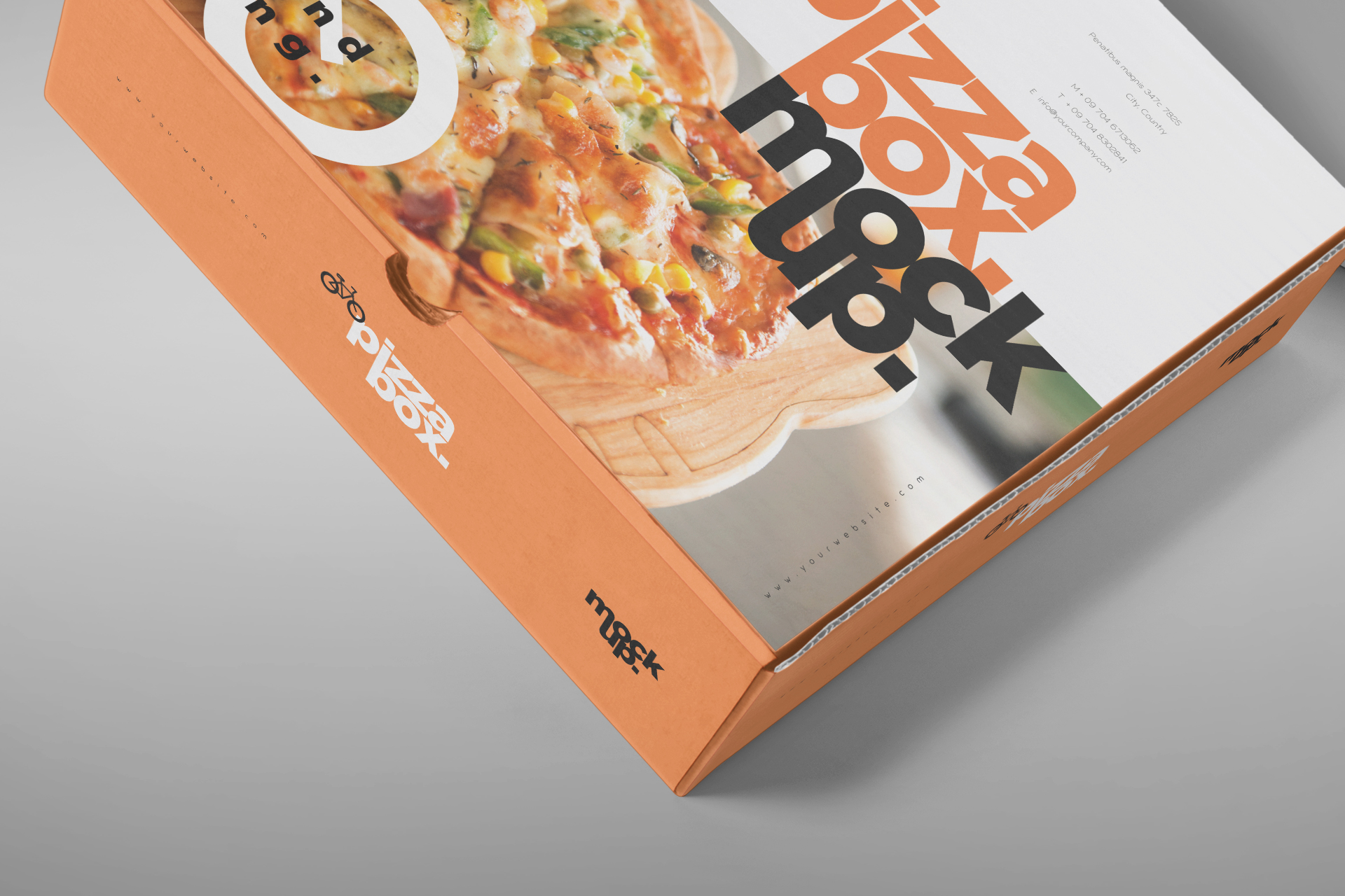 cardboard pizza packaging