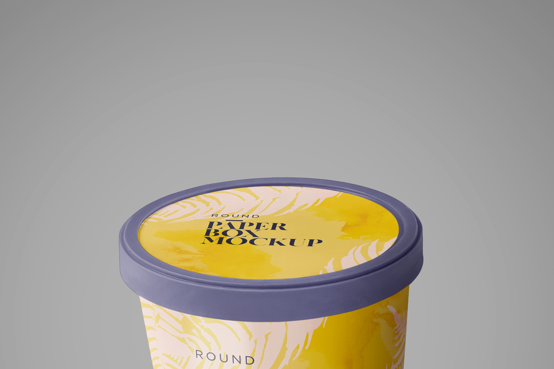 customizable box mockup