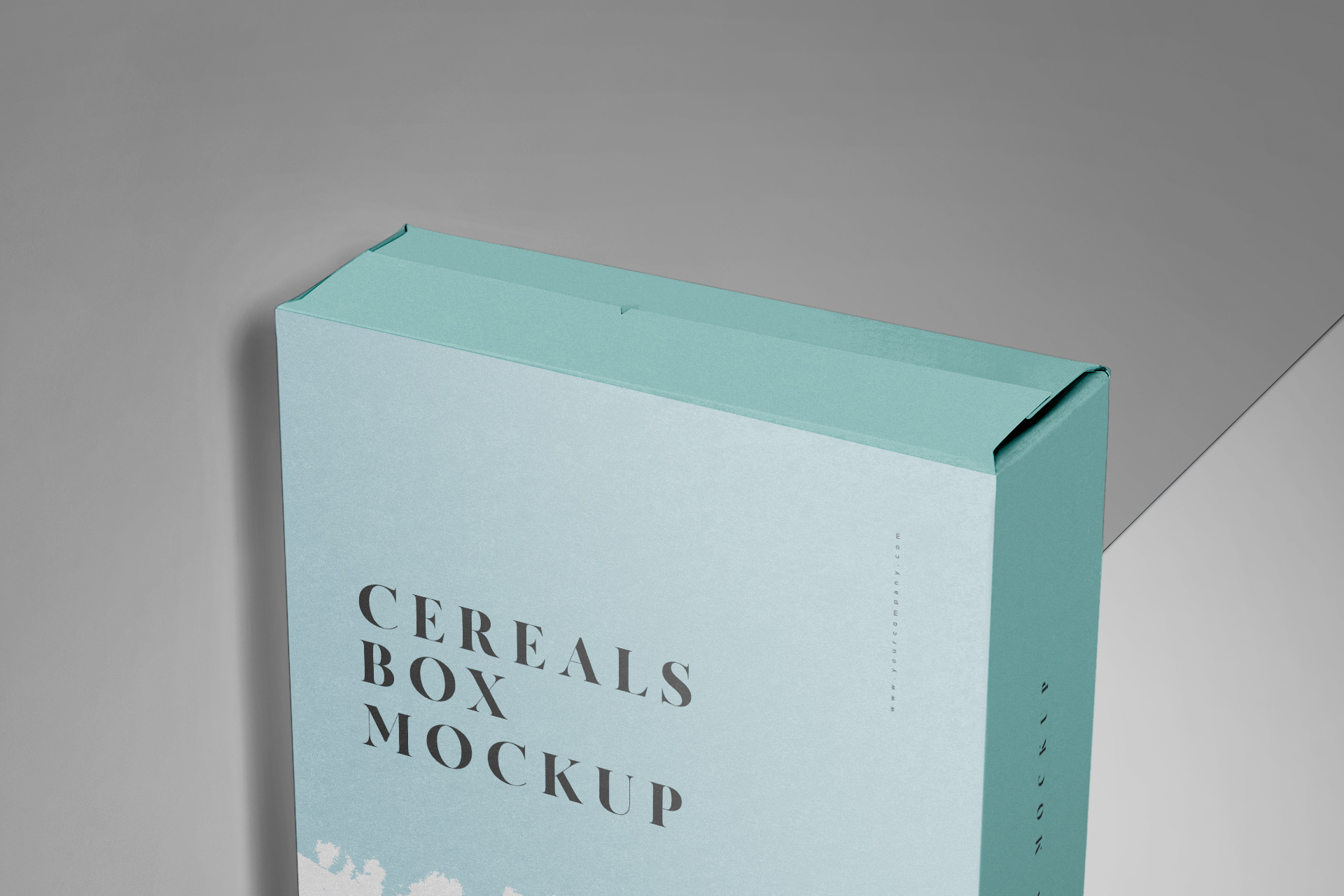 box branding mockup