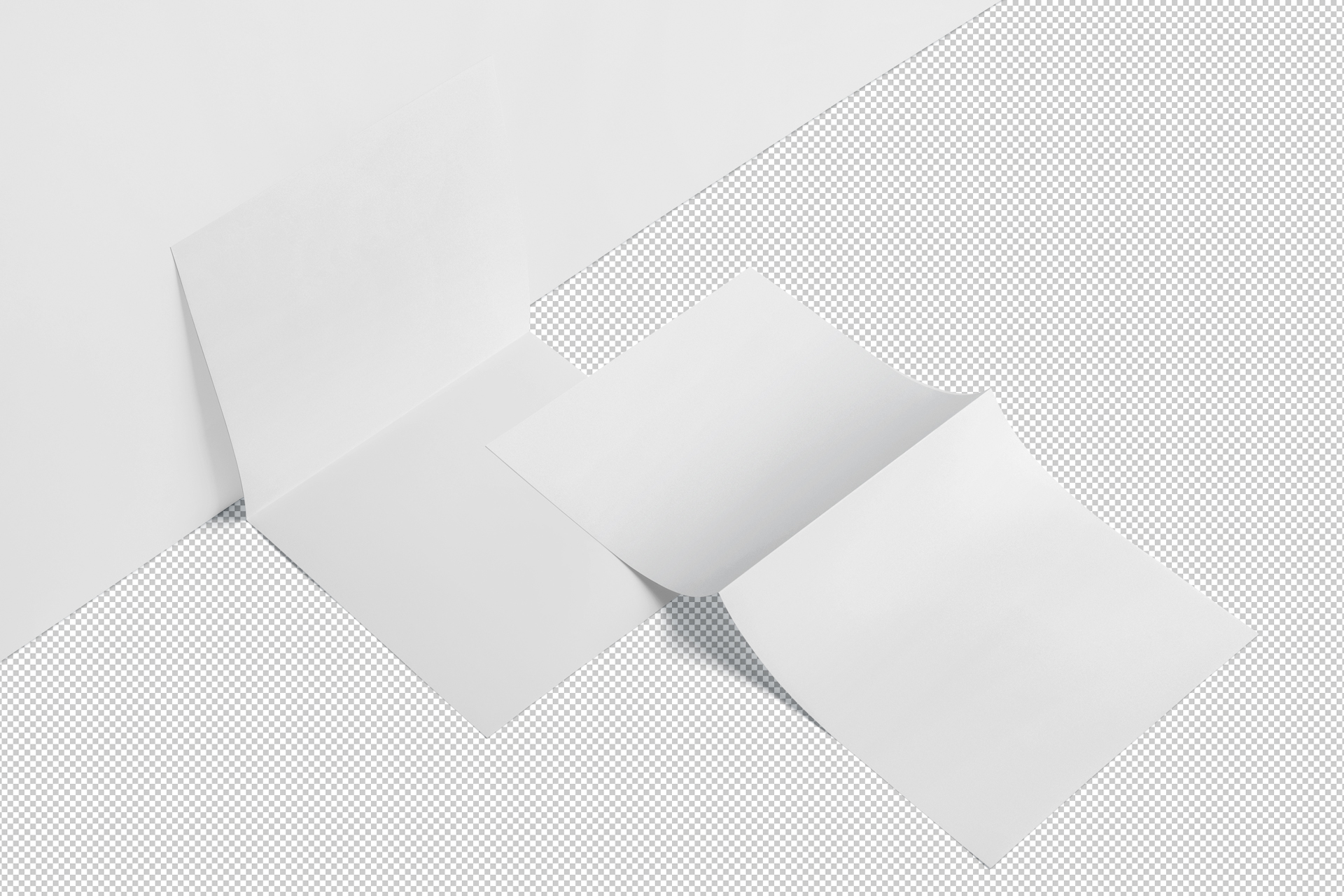 A4 bi-fold mockup