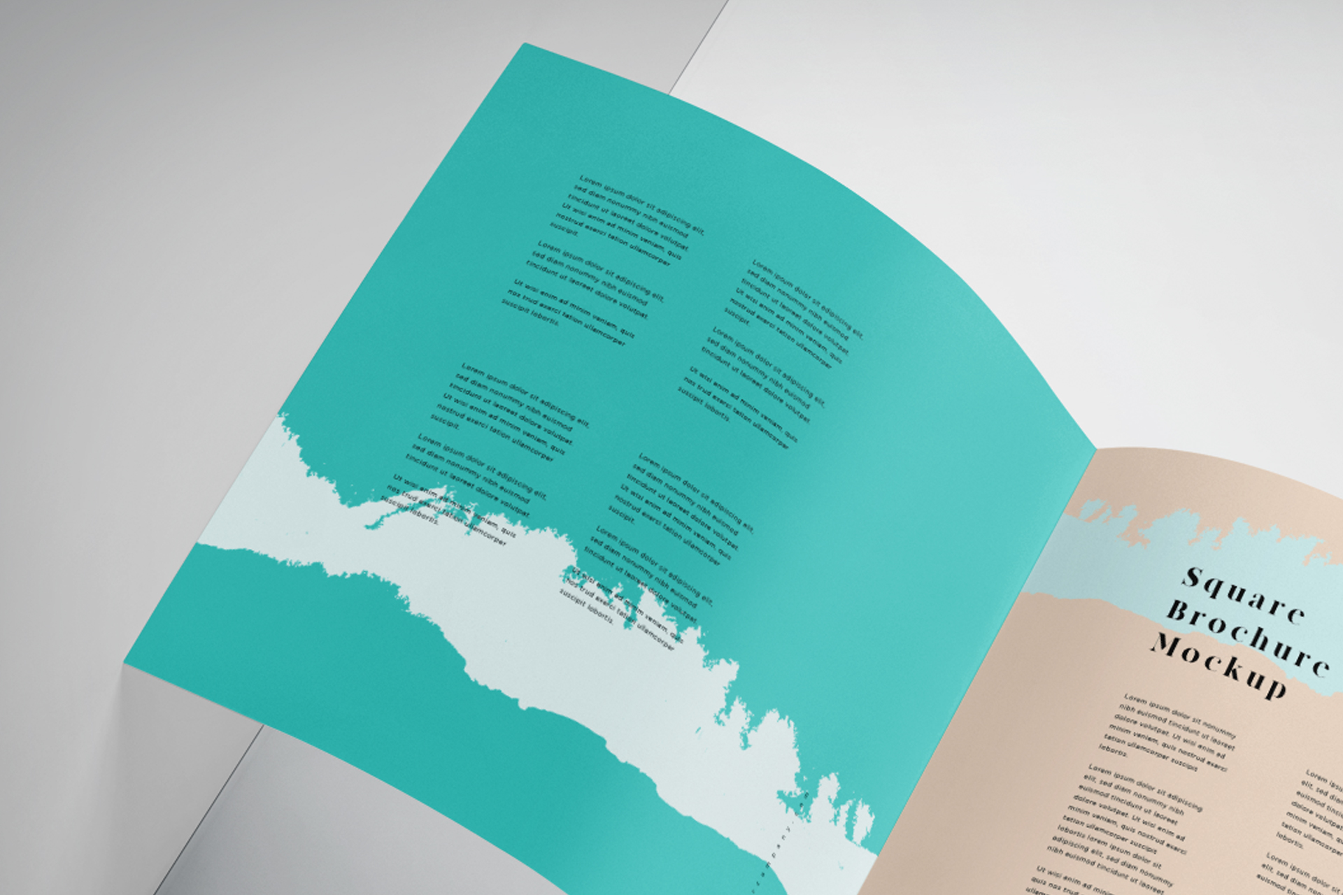 bi-fold mockup