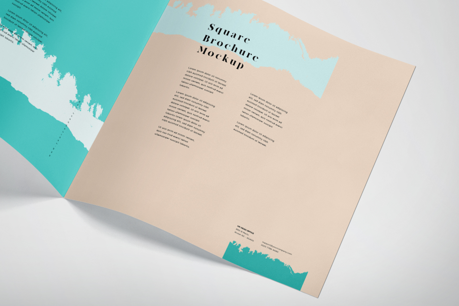 bi-fold mockup