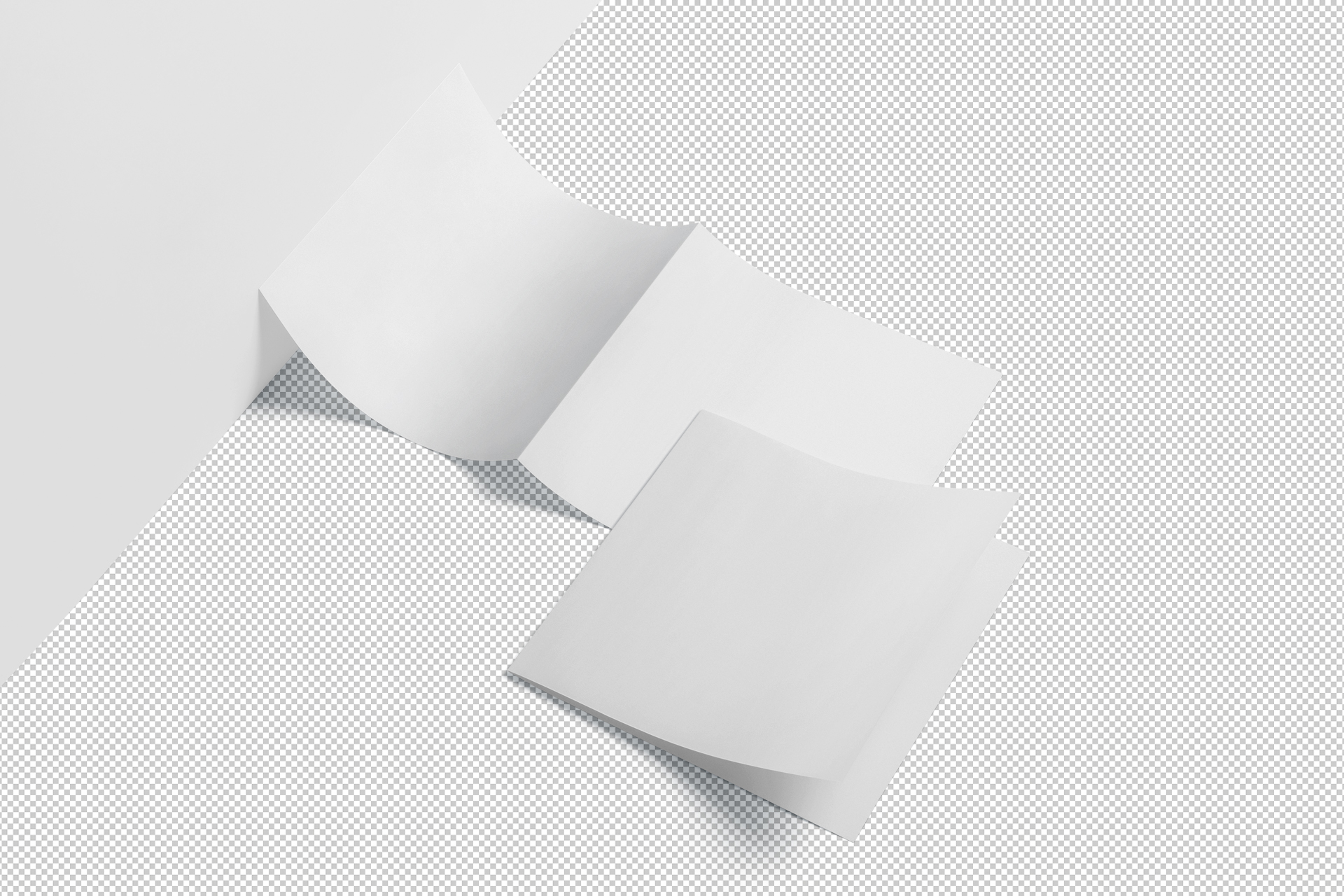 bi-fold mockup
