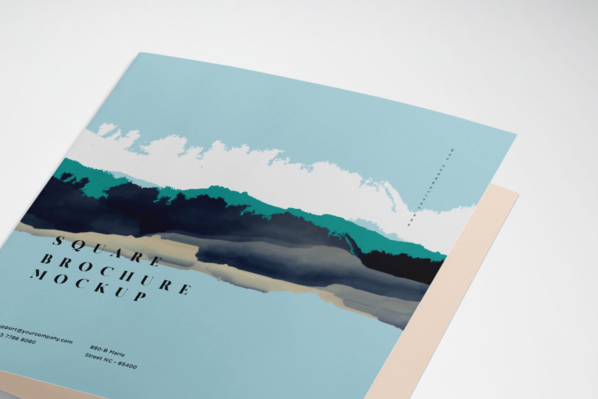bi-fold mockup