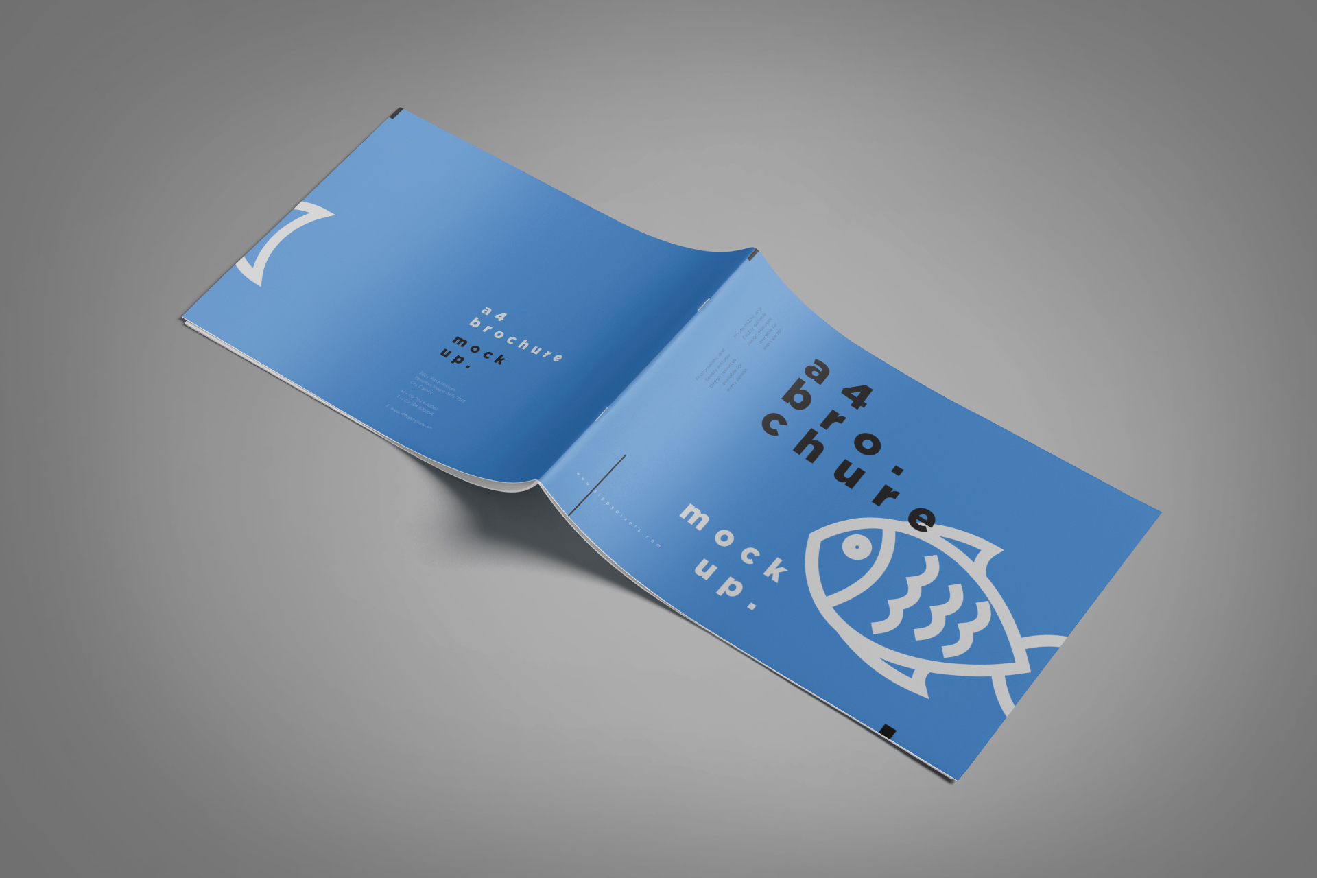 A4 brochure mockup