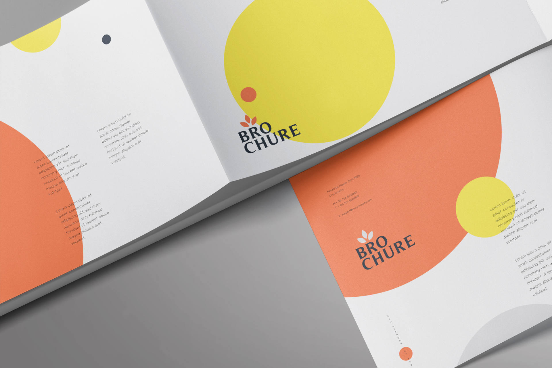 a4 brochure
