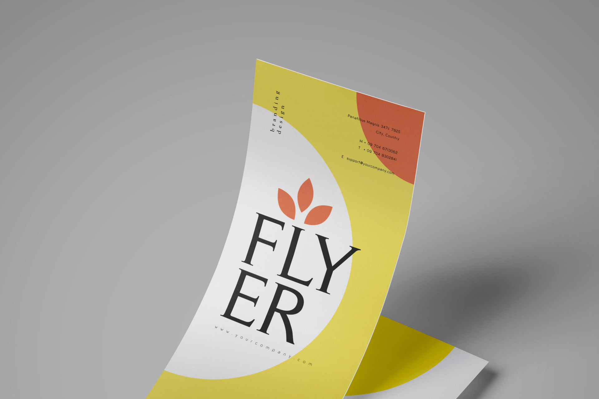A4 flyer