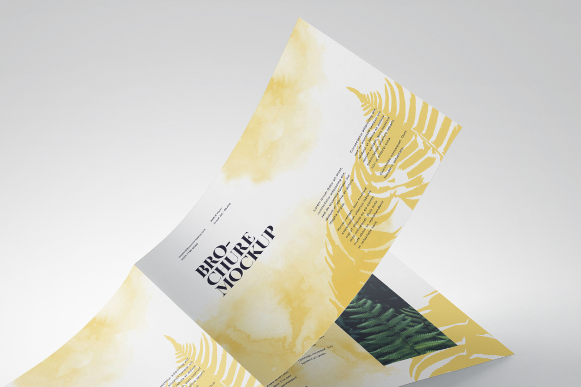 advertising brochure