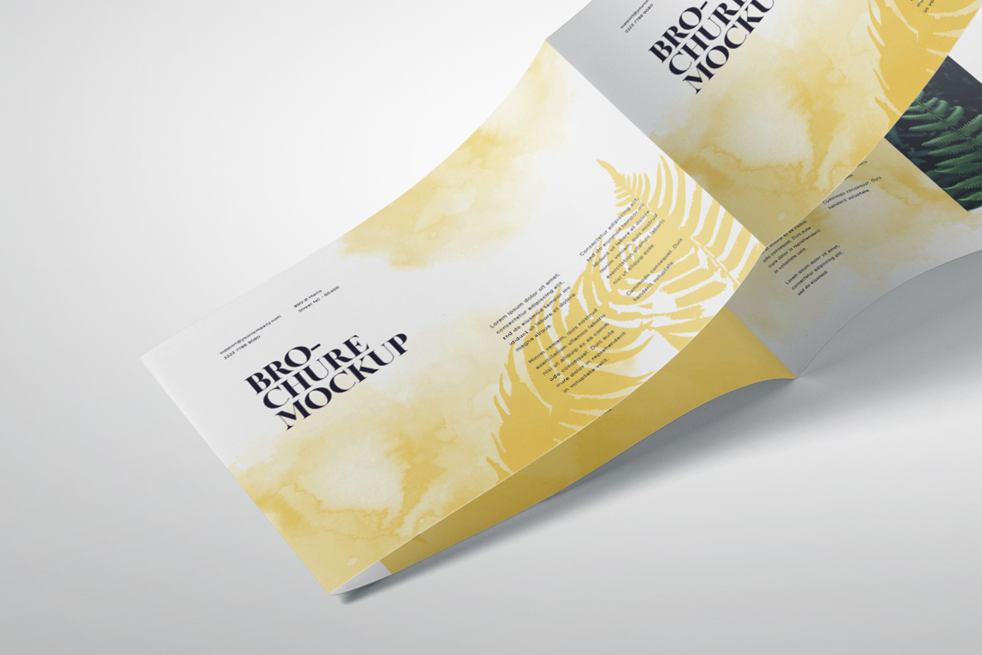 advertising brochure