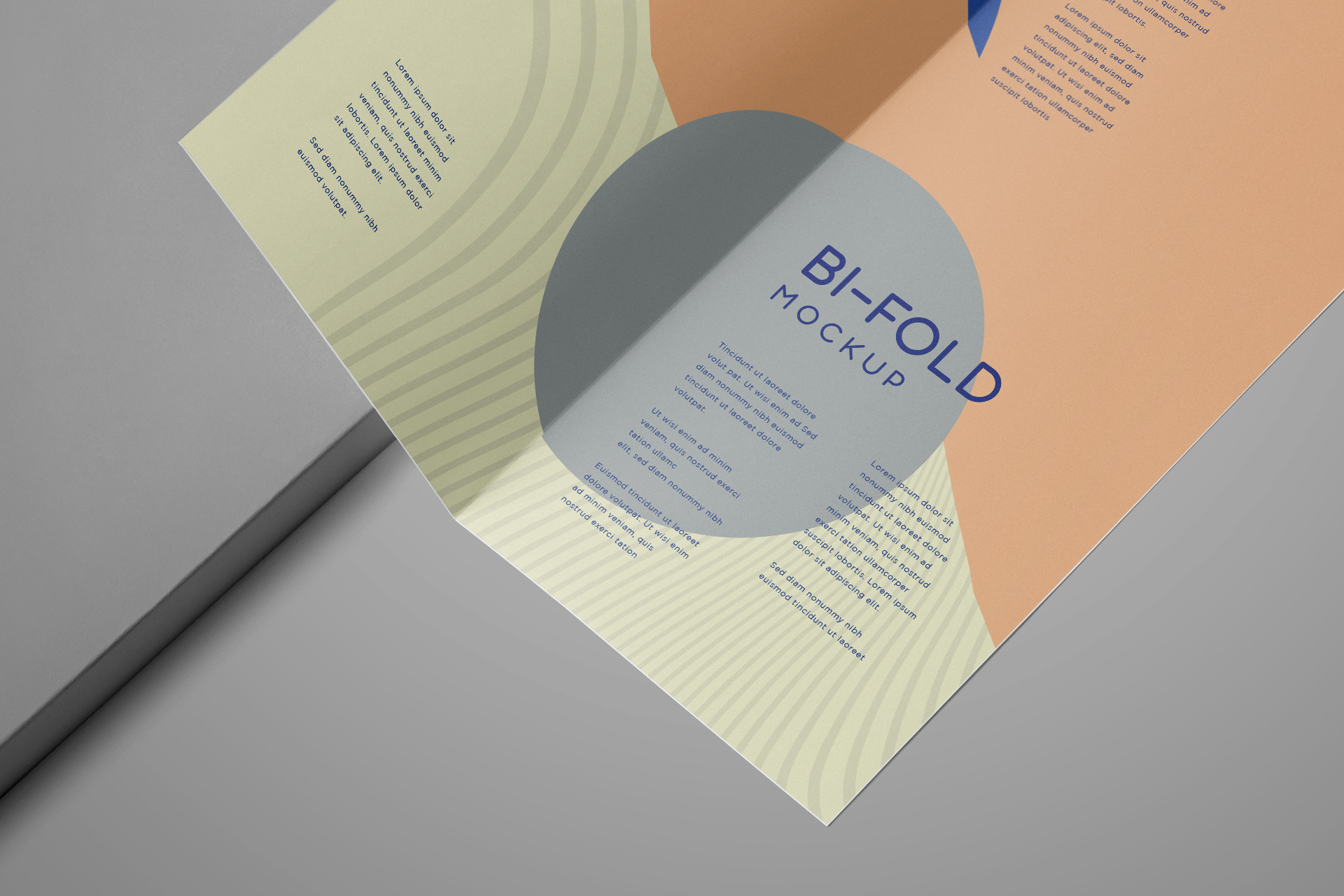bi-fold mock-up