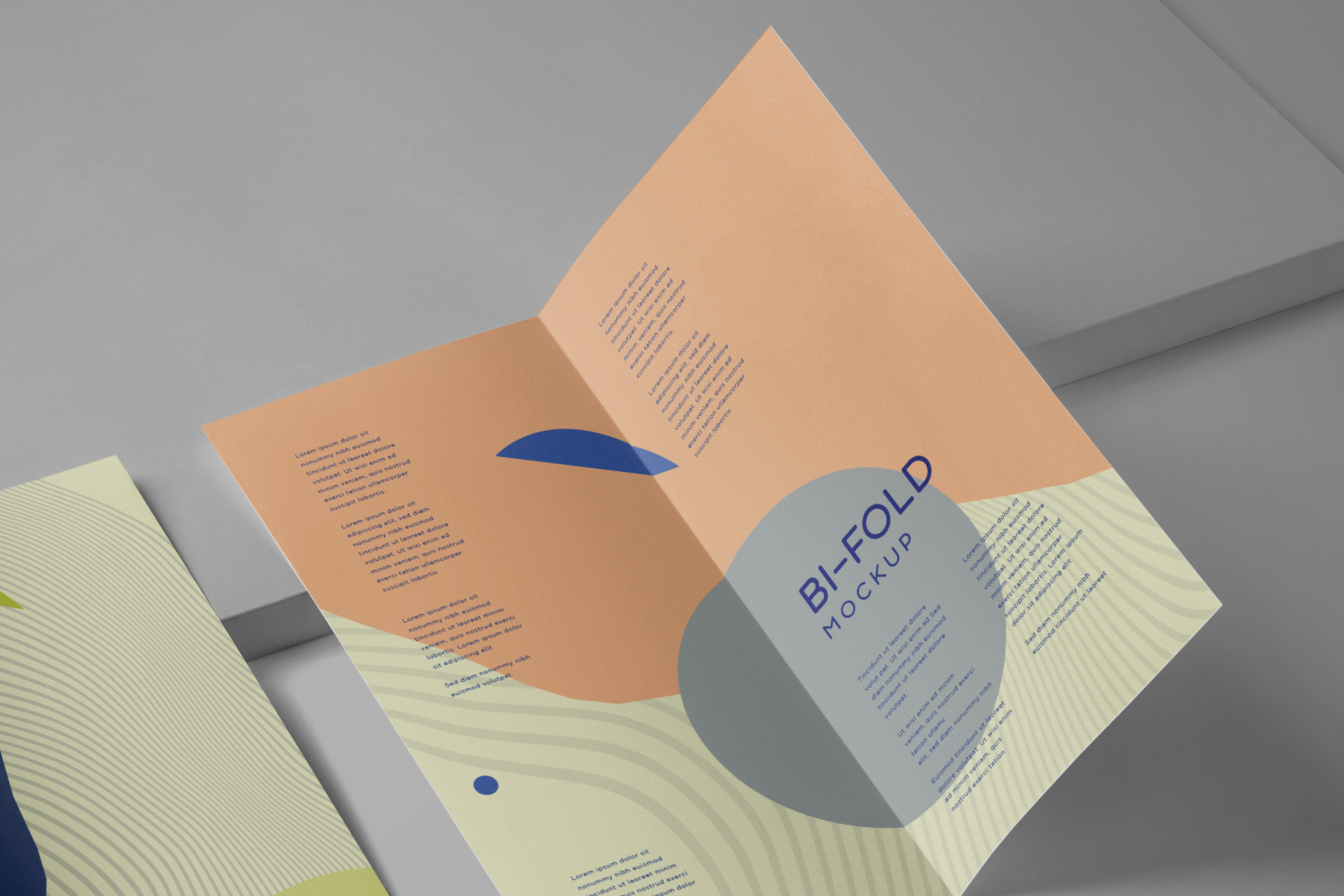 bi-fold mock-up
