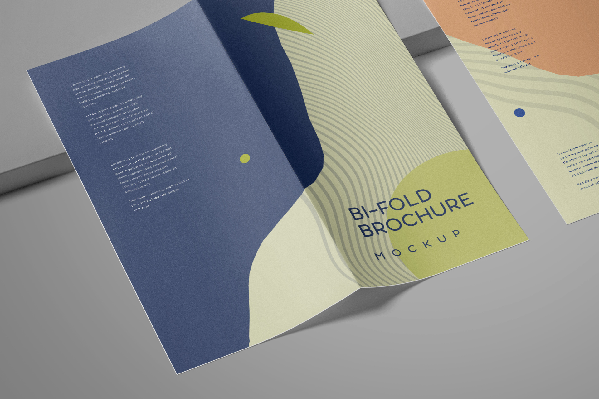 bi-fold mock-up