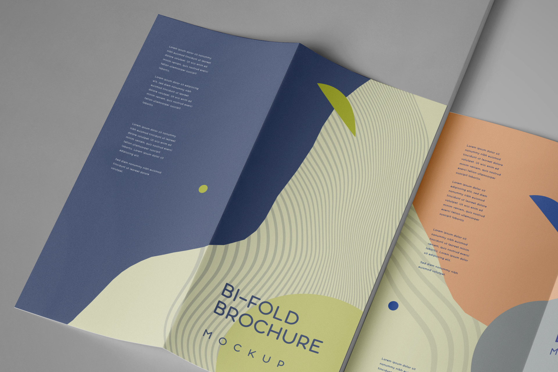 brochure mock-up