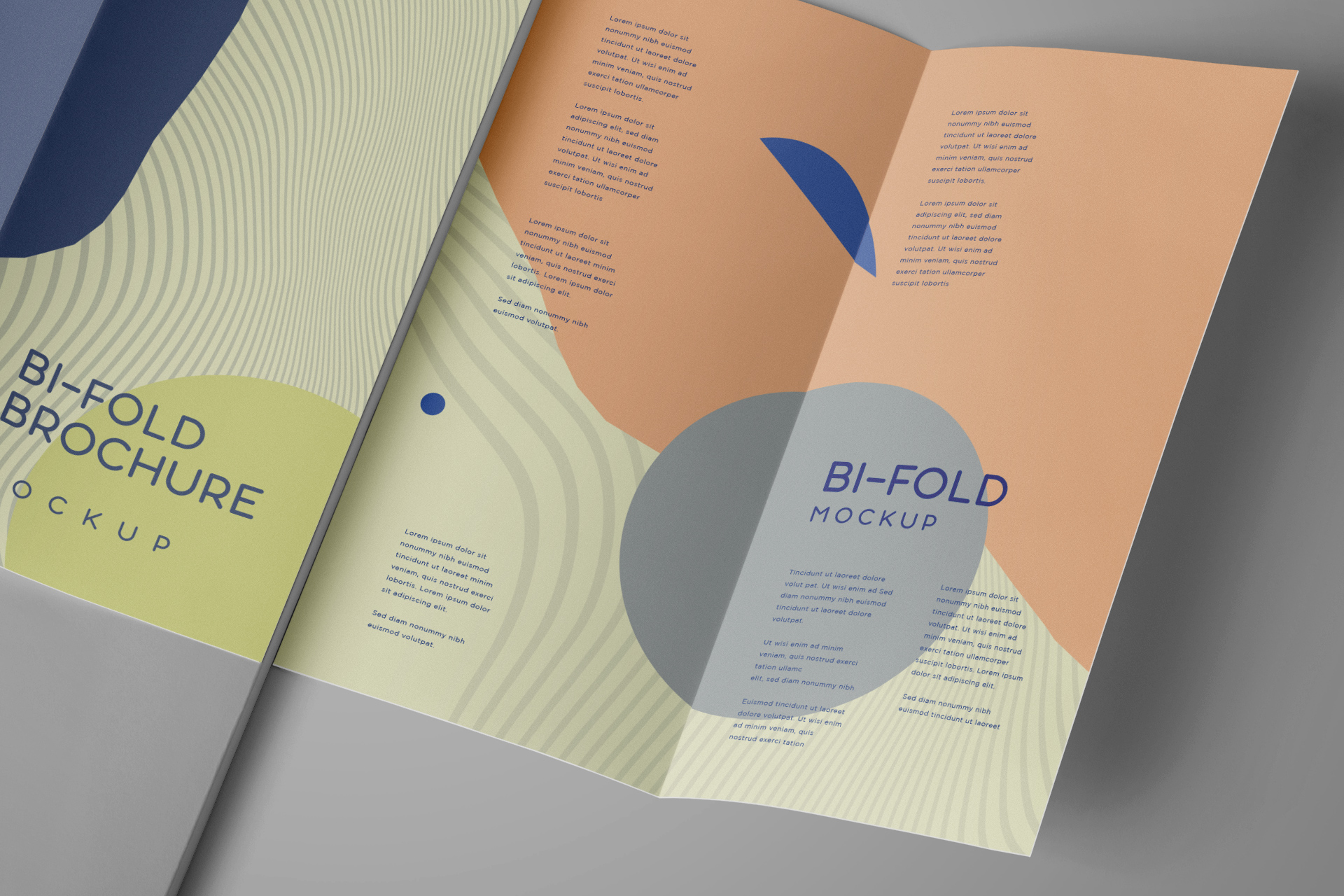 brochure mock-up