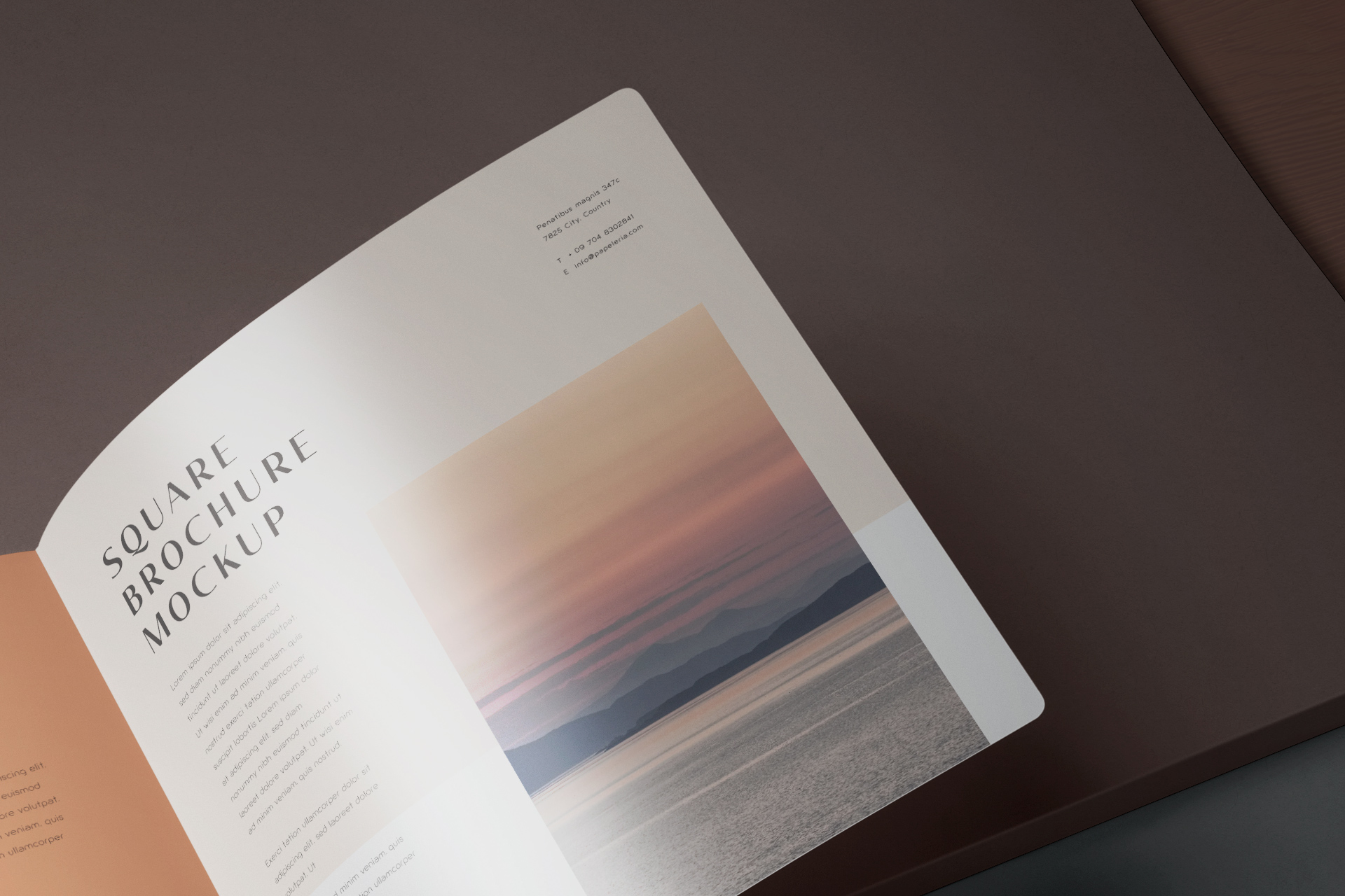 advertising brochure