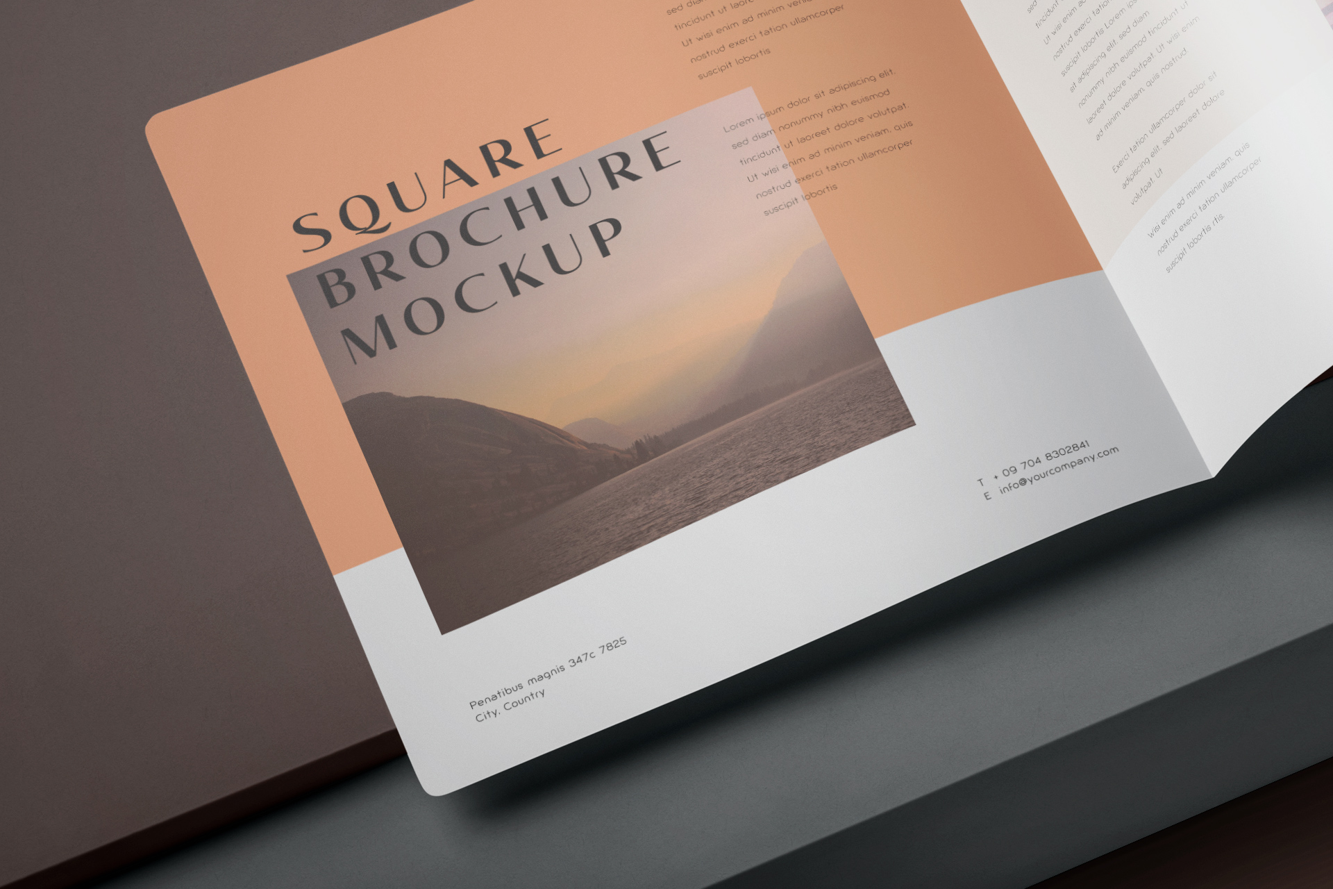 advertising brochure