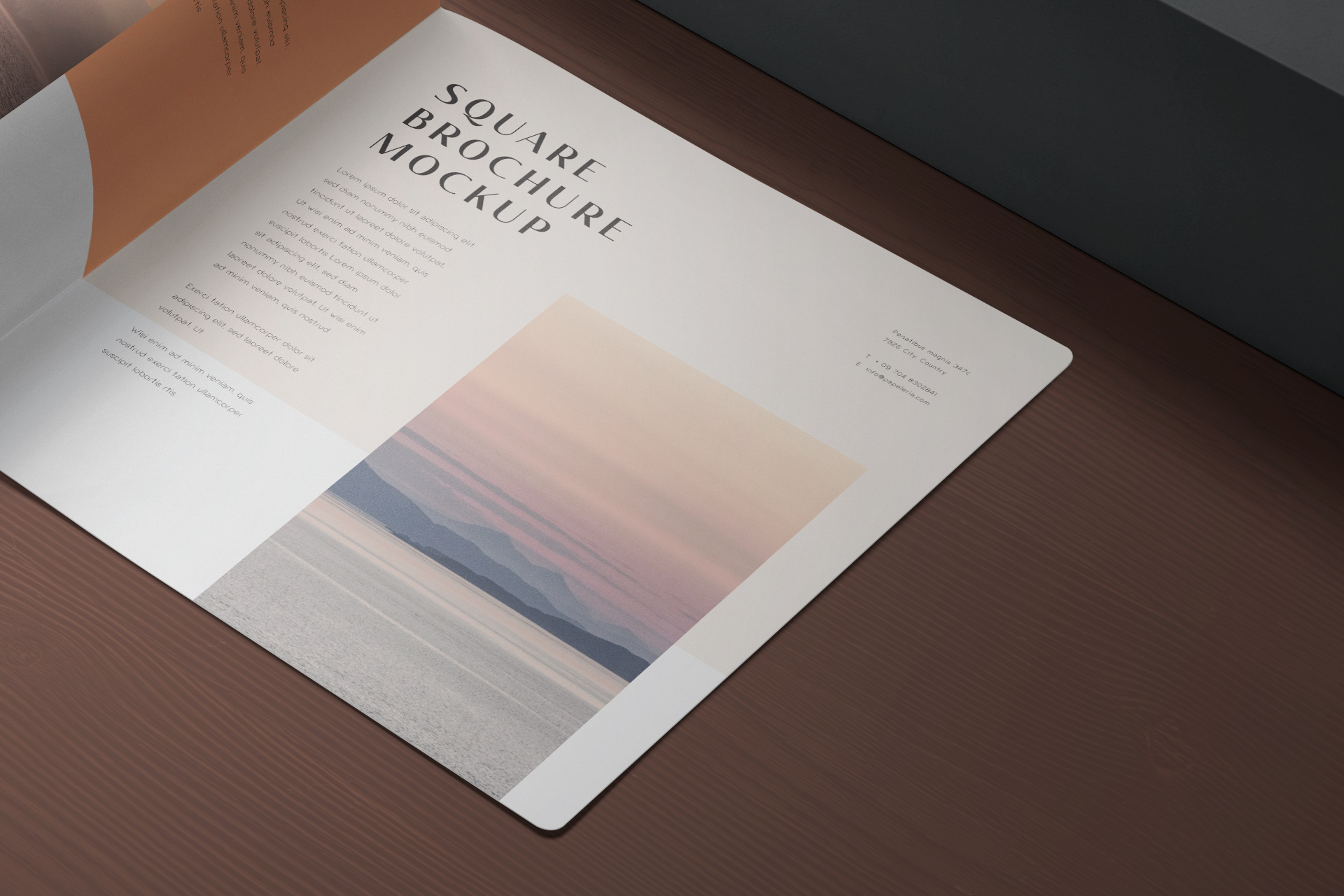 advertising brochure