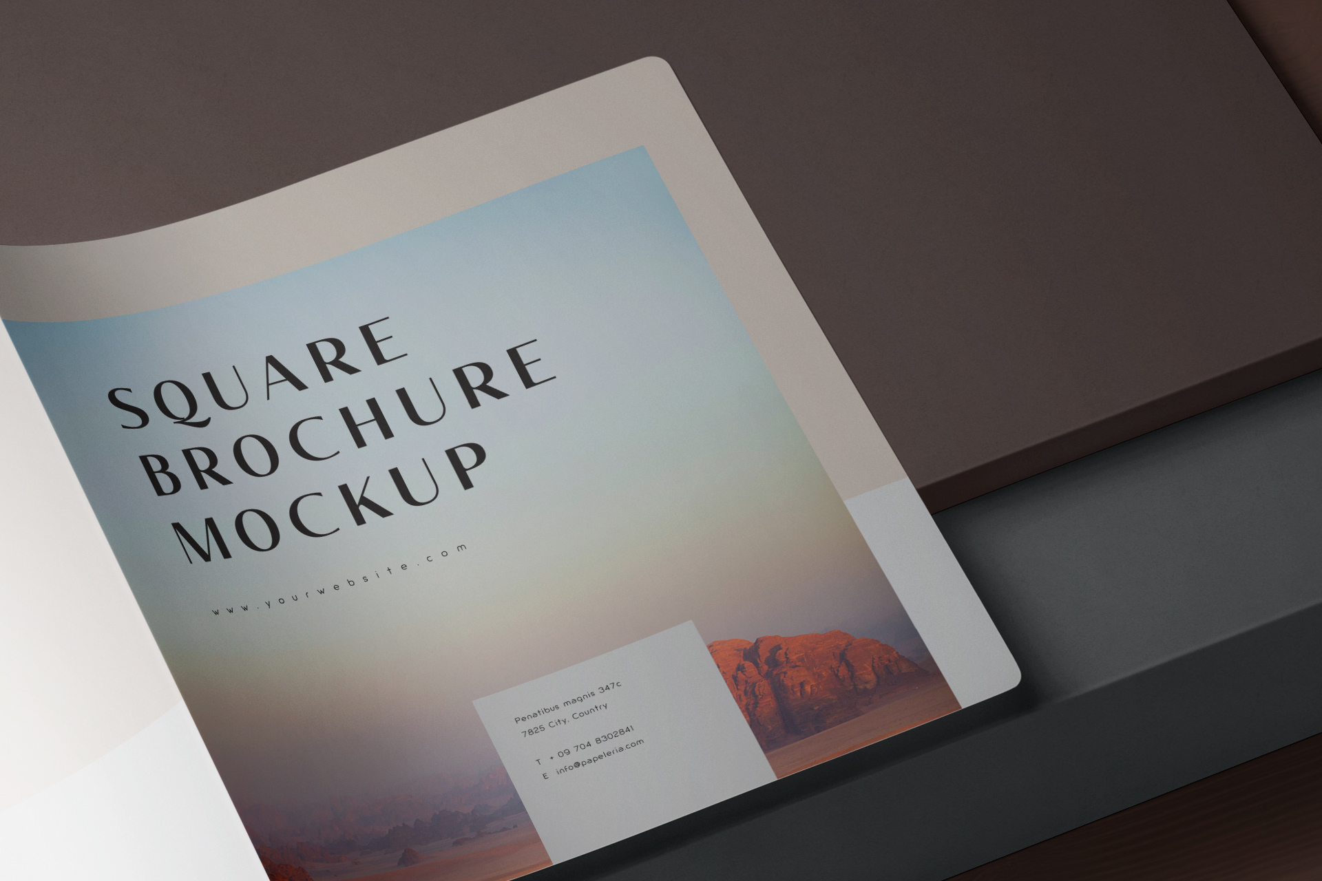 advertising brochure