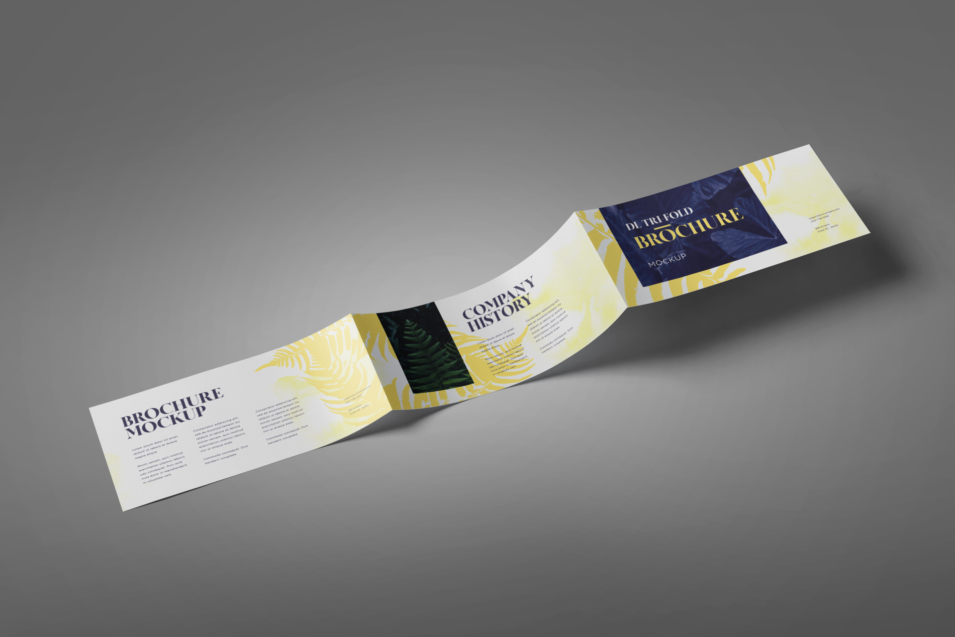 Tri-Fold Brochure Mockup Realistic Branding Display