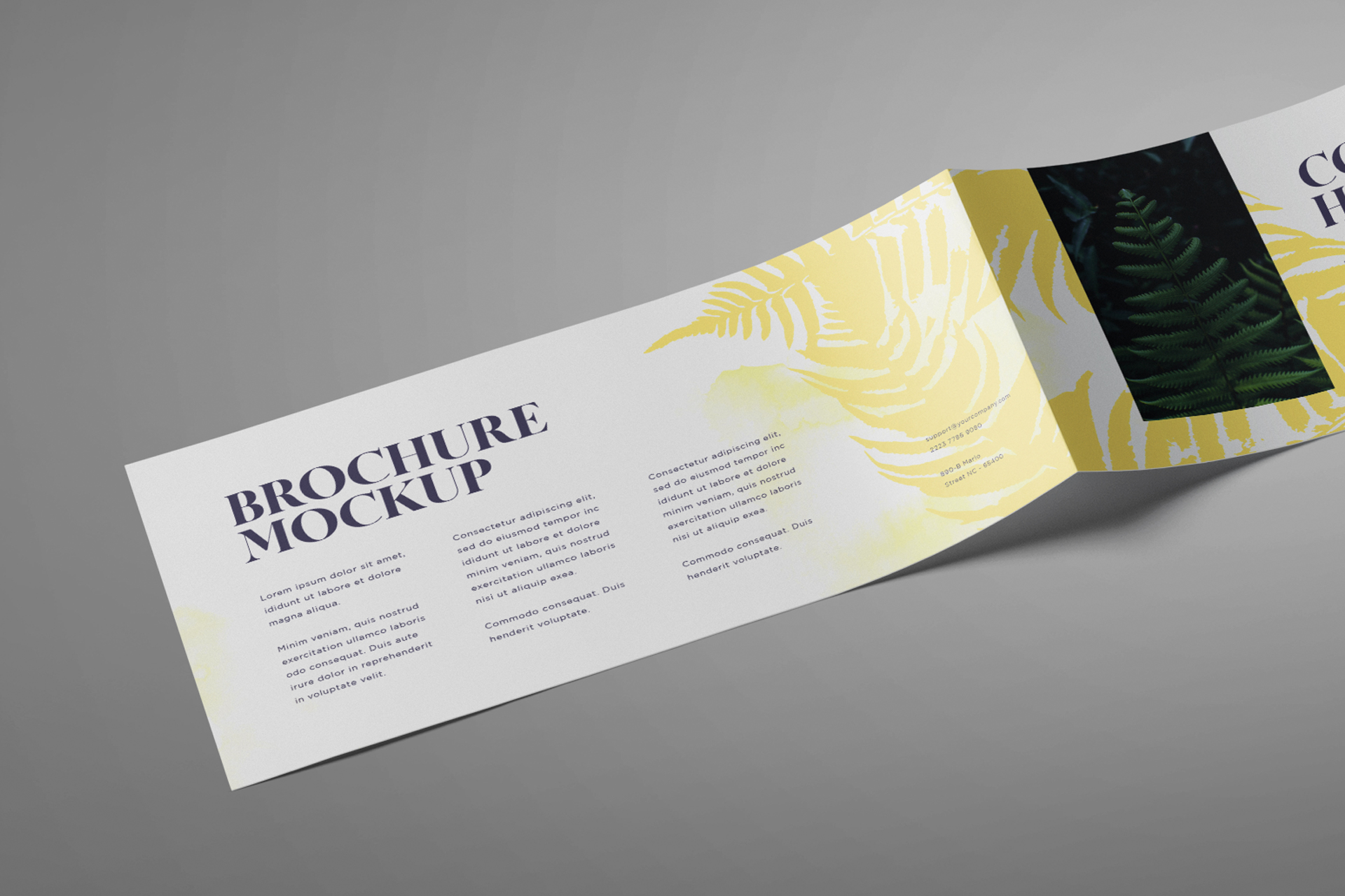 a4 brochure