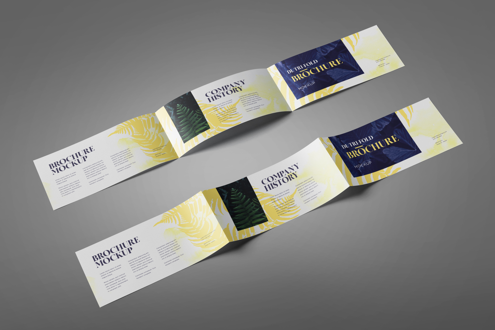 Premium Tri-Fold Brochure Mockup Customizable PSD