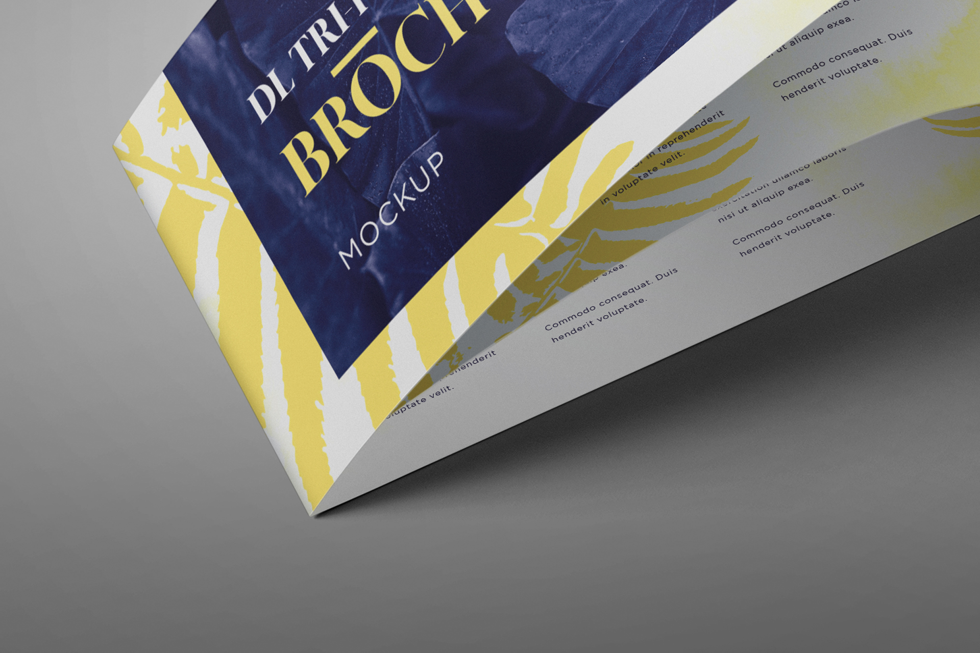 3D brochure